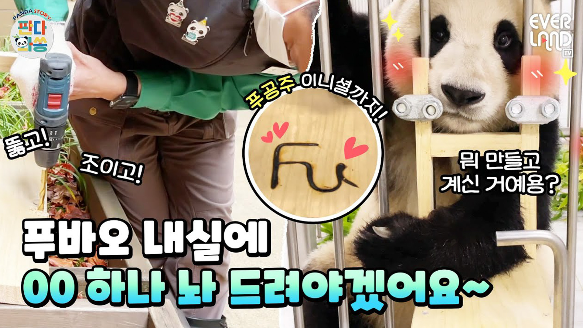 푸바오 내실에 없는 딱 한가지 물건? 69회