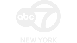 A Very New York Holiday 2025