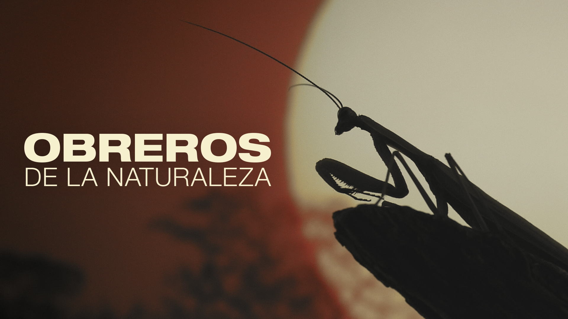 Obreros de la naturaleza