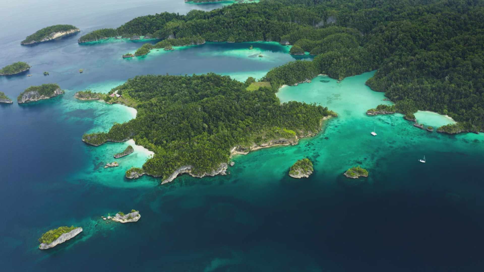 The Magic Circle of the Reef