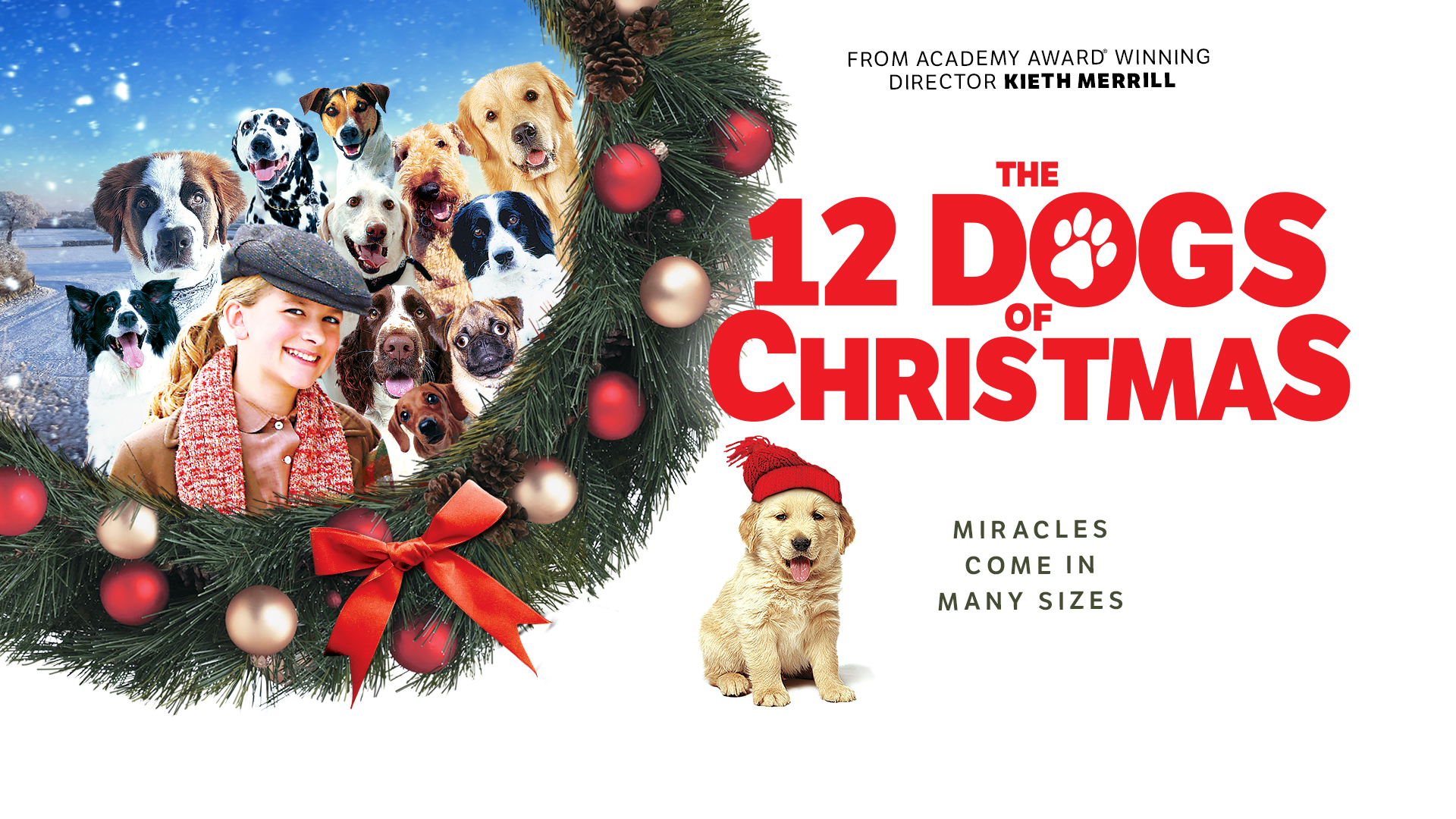 12 Dogs of Christmas