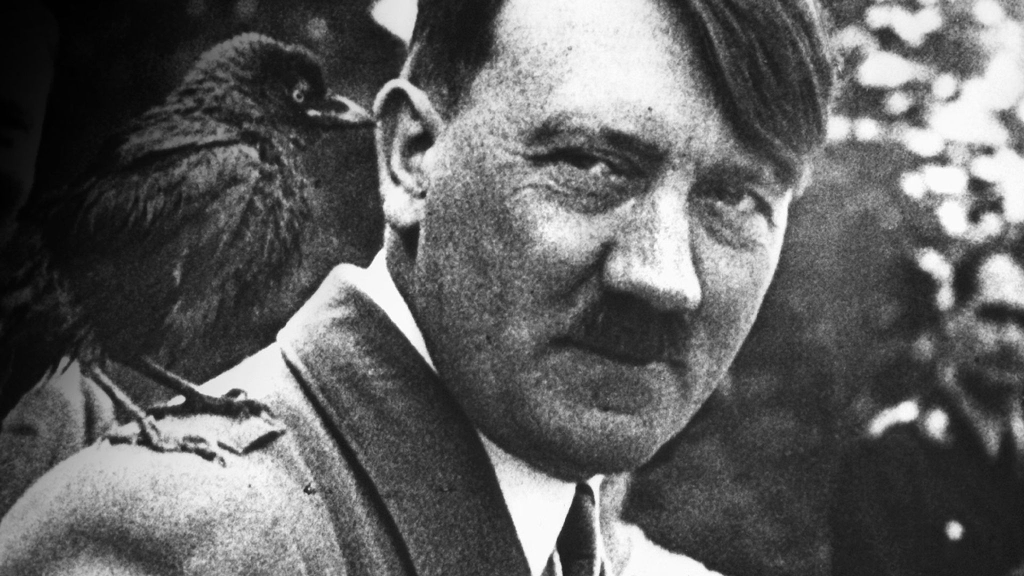 Die Chroniken des Adolf Hitler