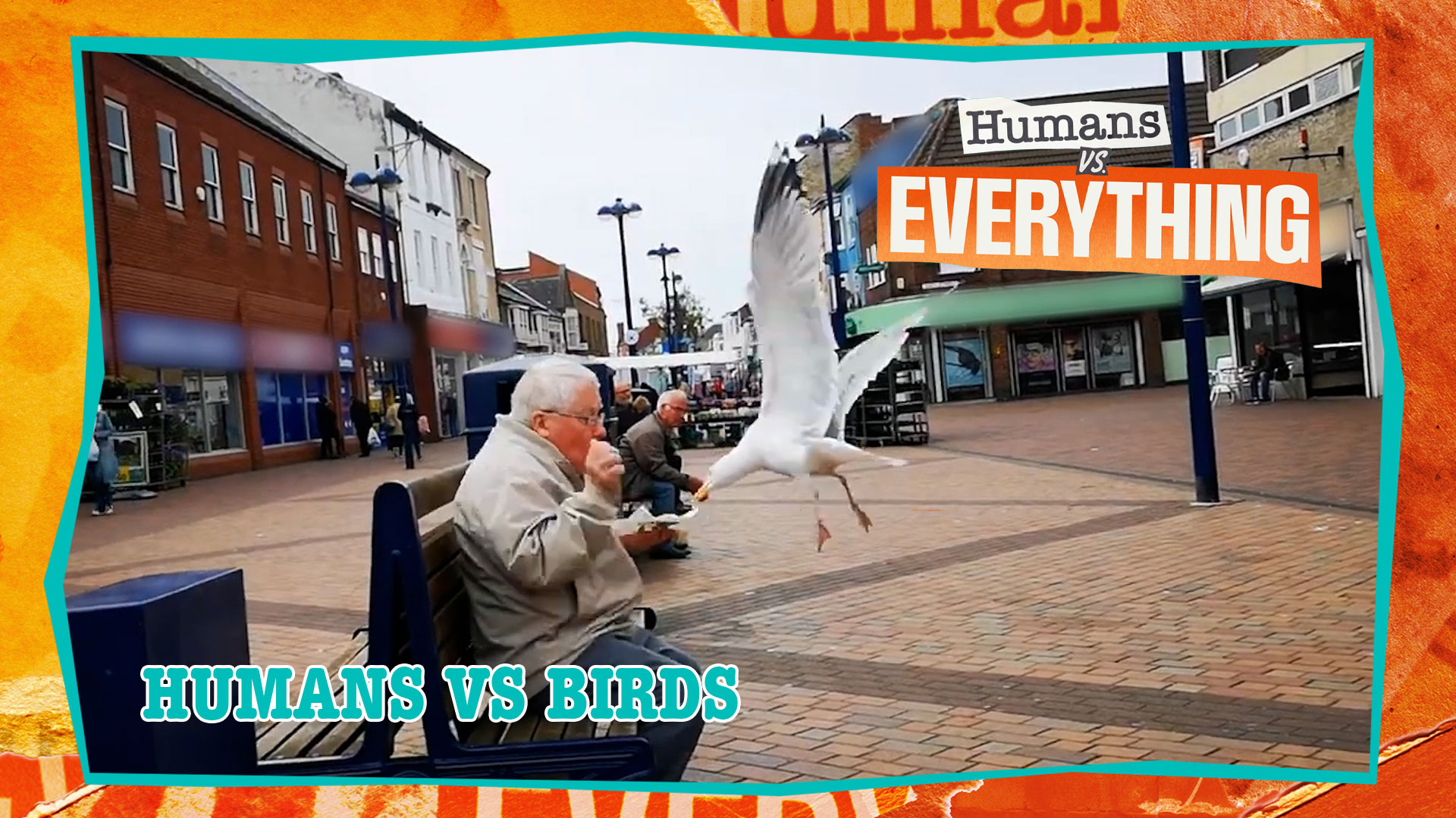 Humans VS. Everything