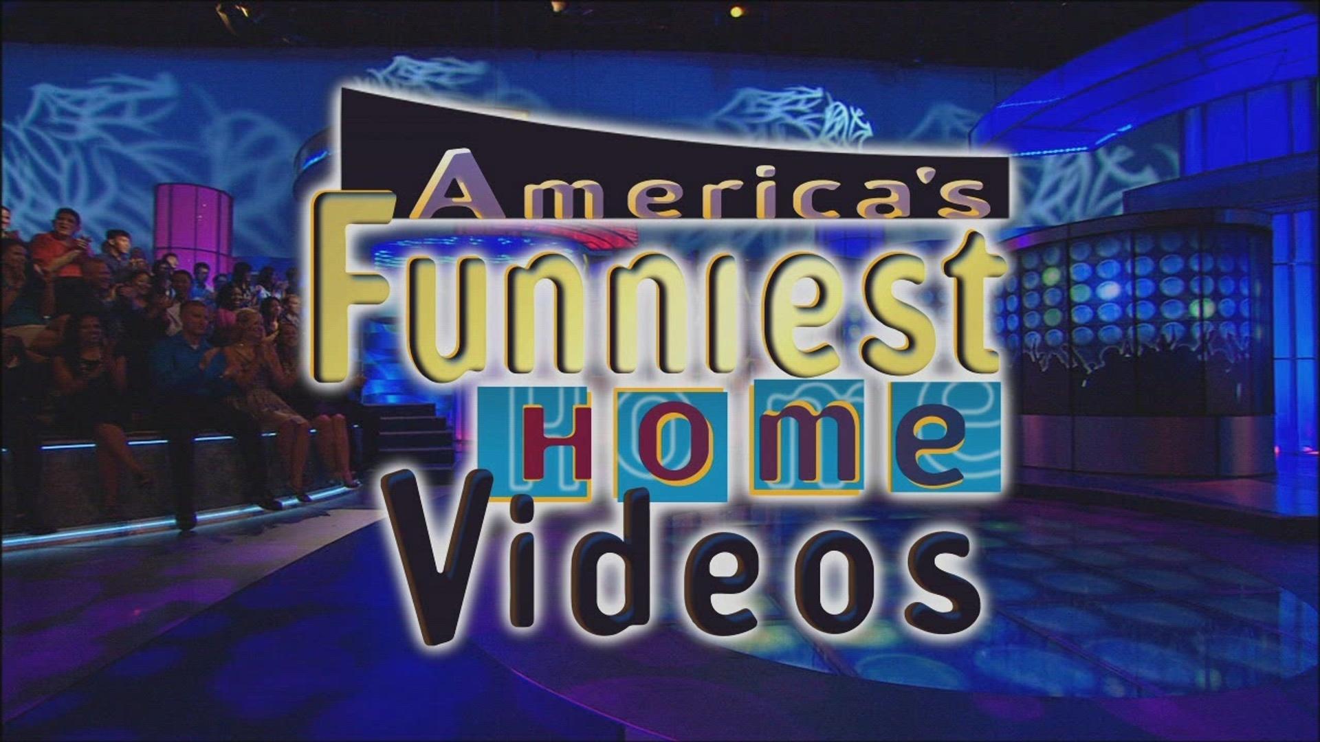 America's Funniest Home Videos