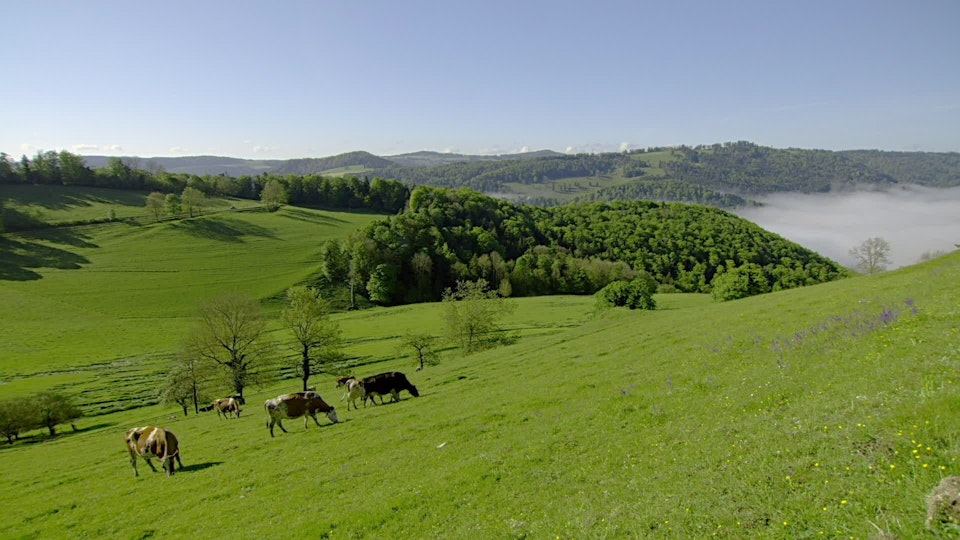 Wunderwelt Schweiz – Die Jura-Region