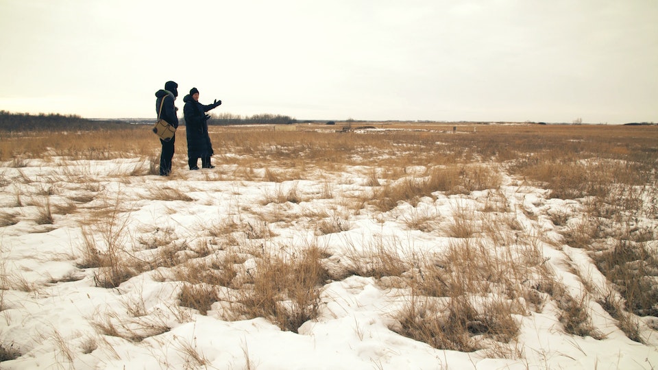 Strange World: Alien Sounds