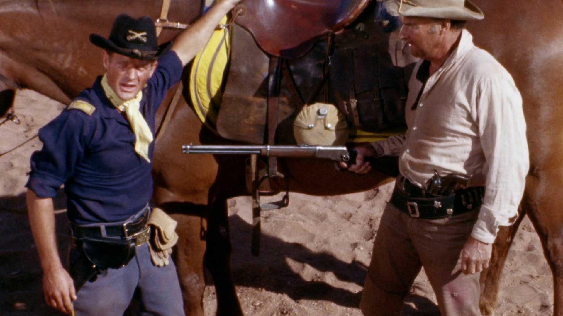 A Mule... Like the Army's Mule