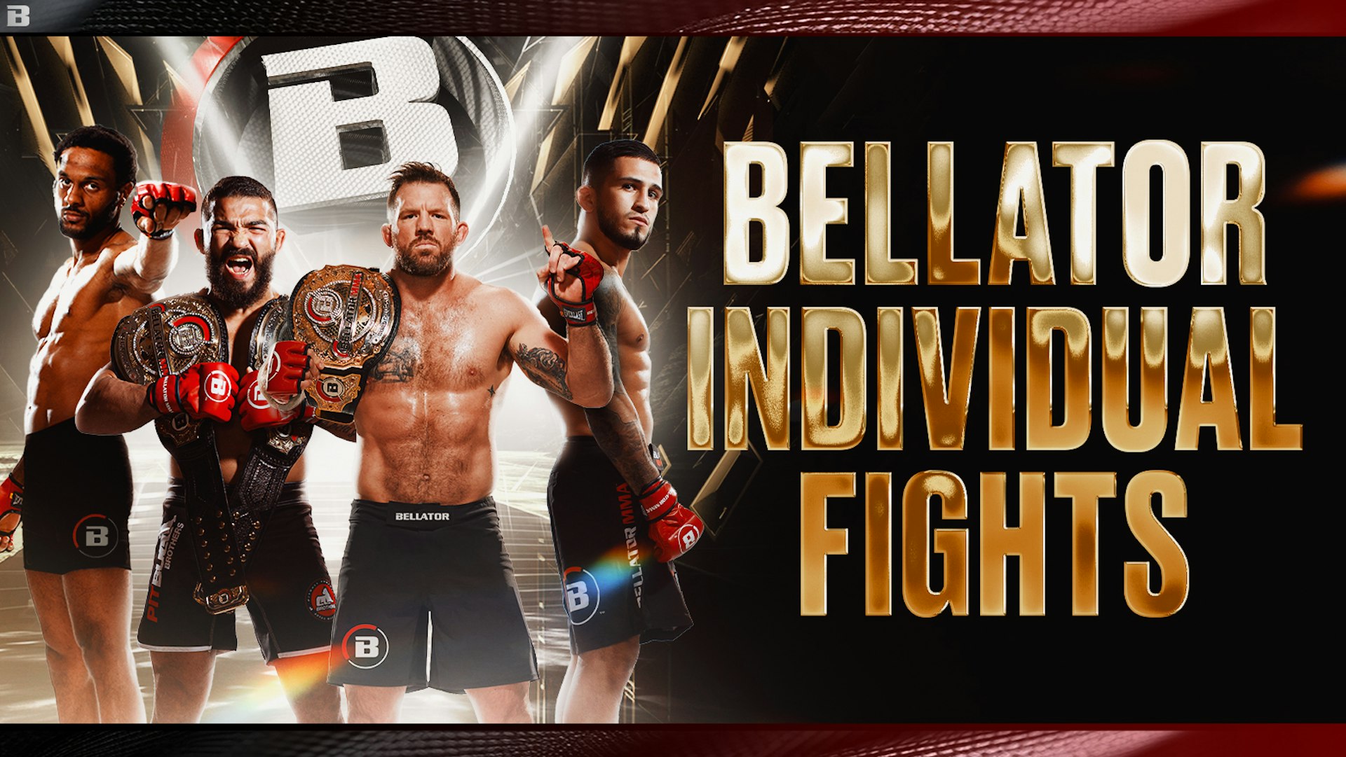 Bellator MMA Individual Fights