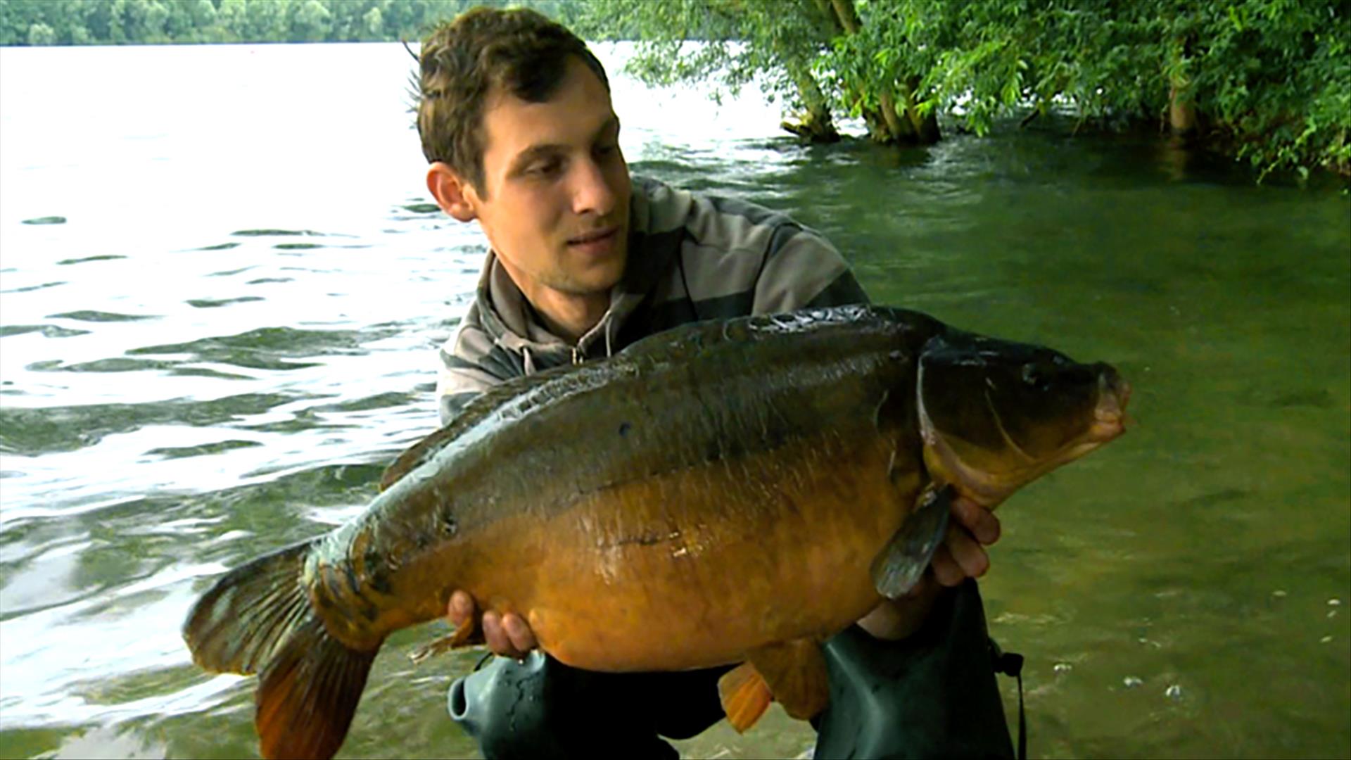 Karpfenangeln im Baggersee