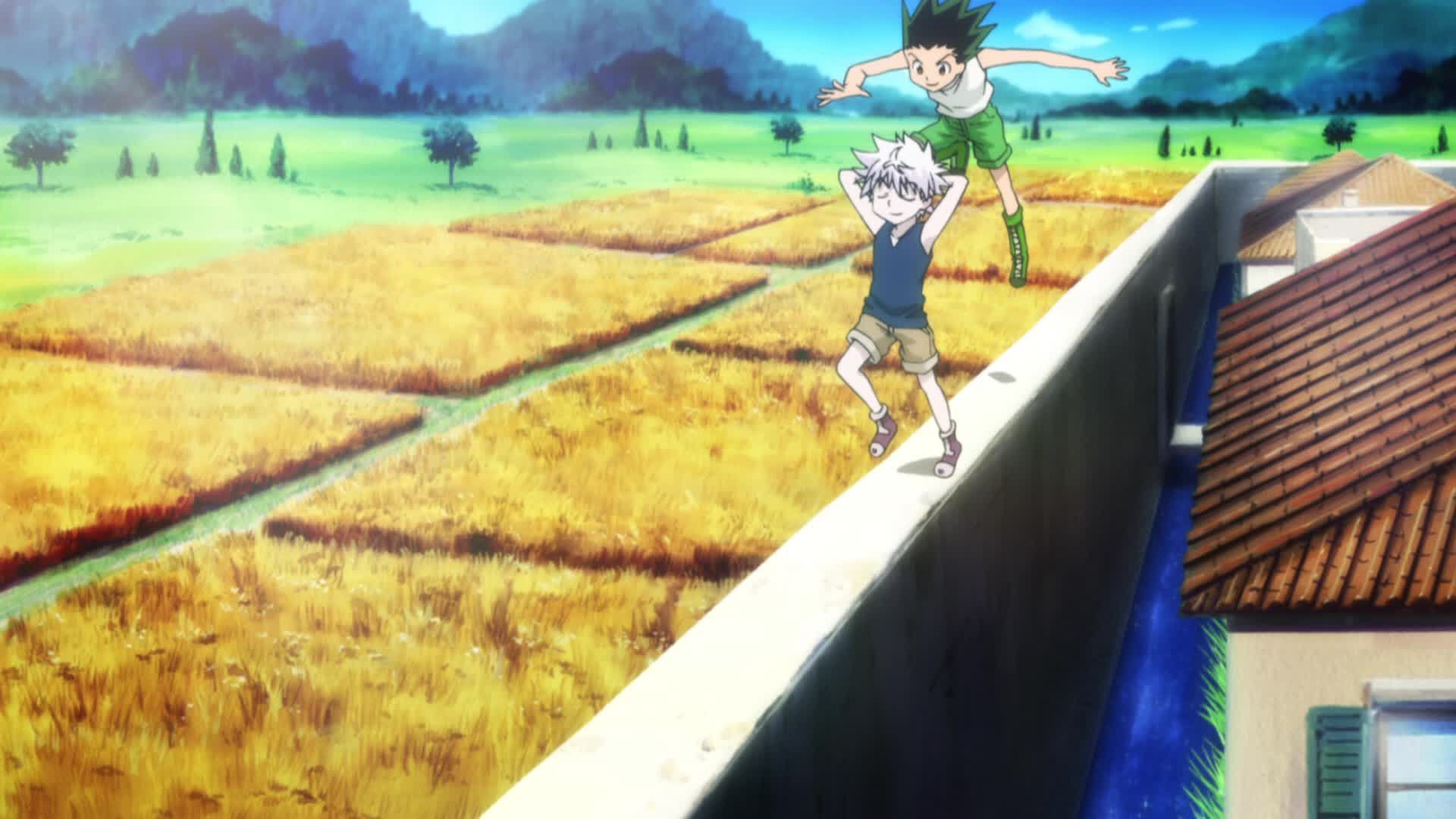 Hunter x Hunter 2011