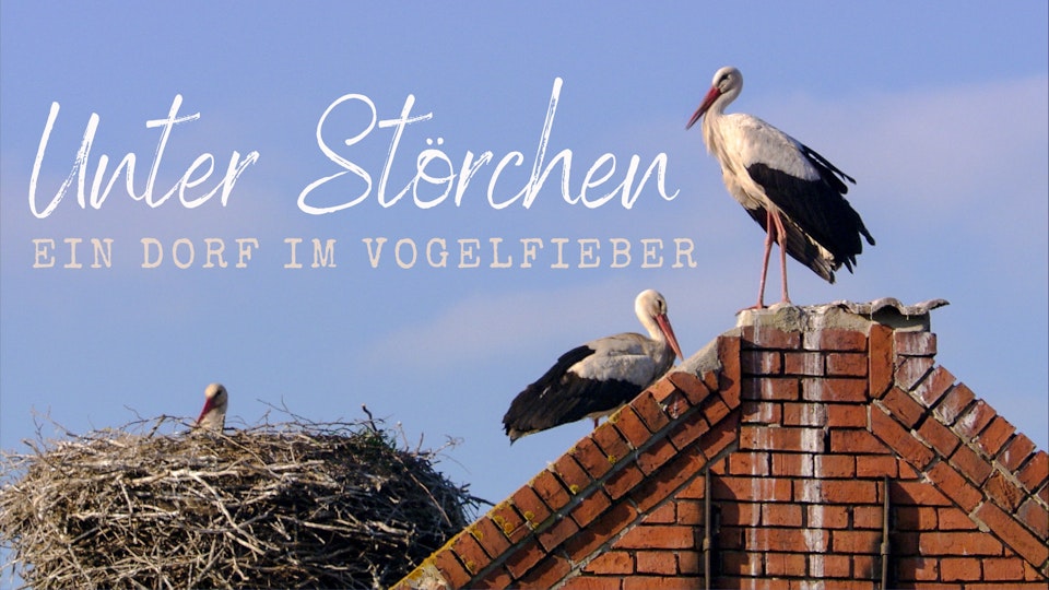 Unter Störchen – Ein Dorf im Vogelfieber