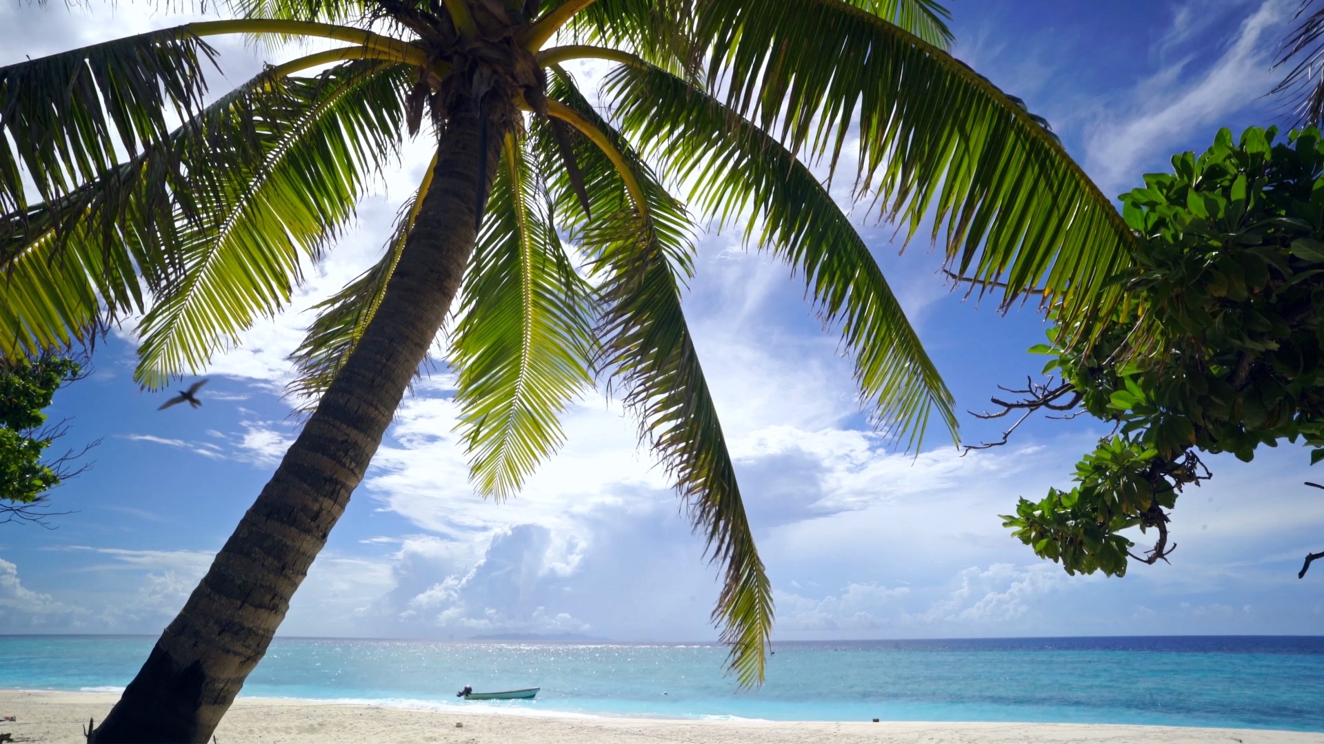 Glistening Island Beach