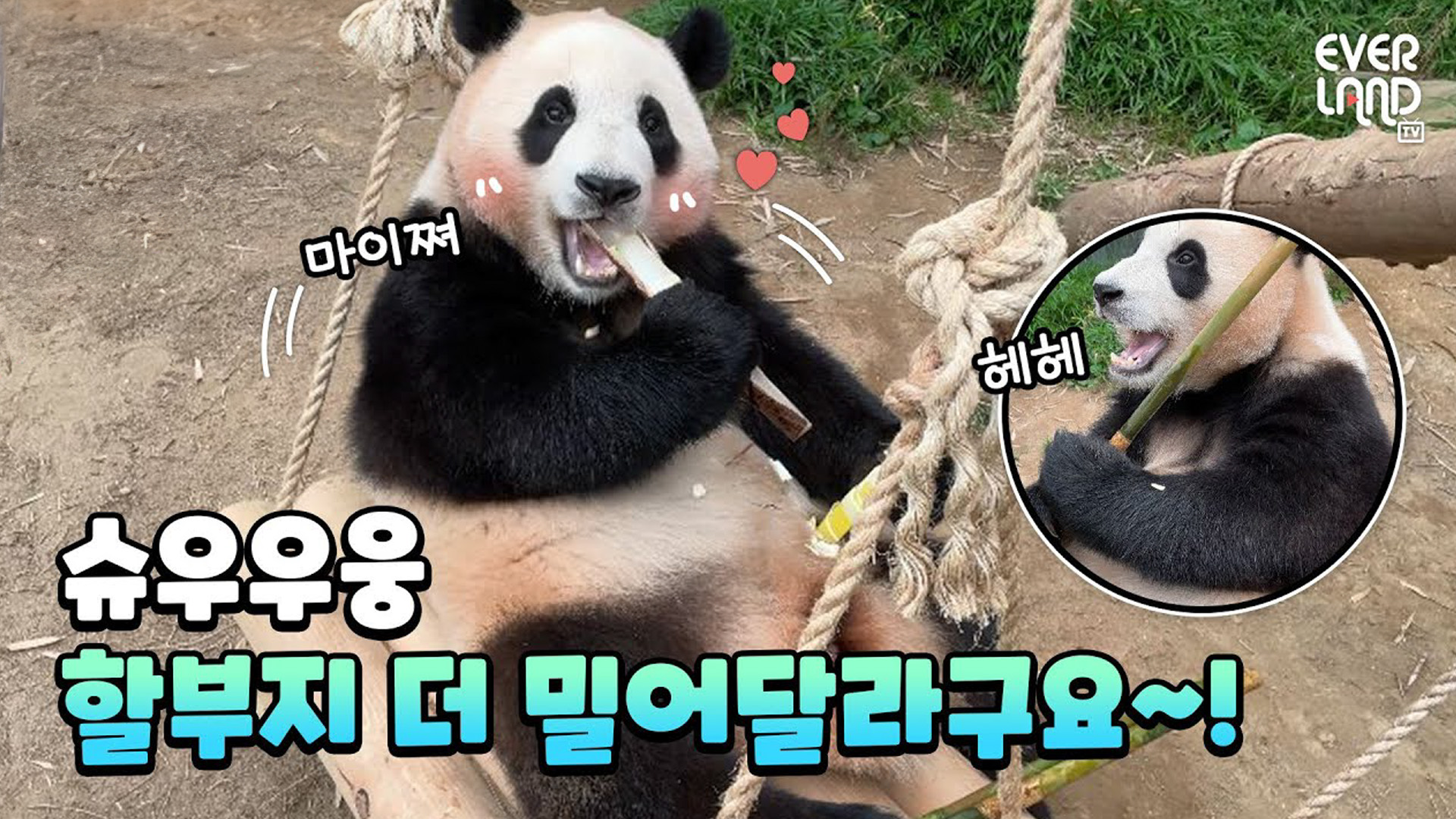 푸공주가 OO까지 정복했다고?? 47회