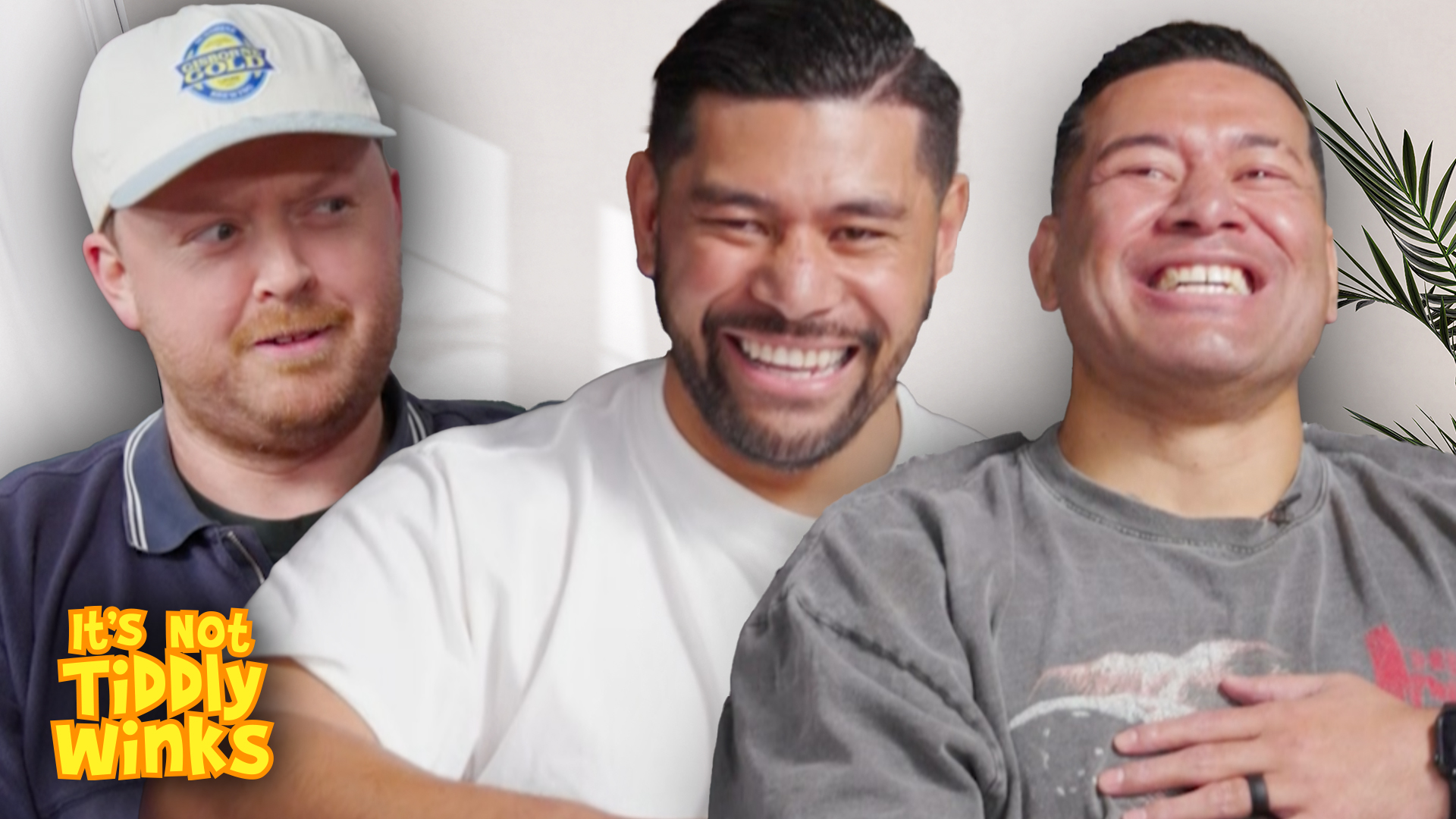 It's Not Tiddlywinks