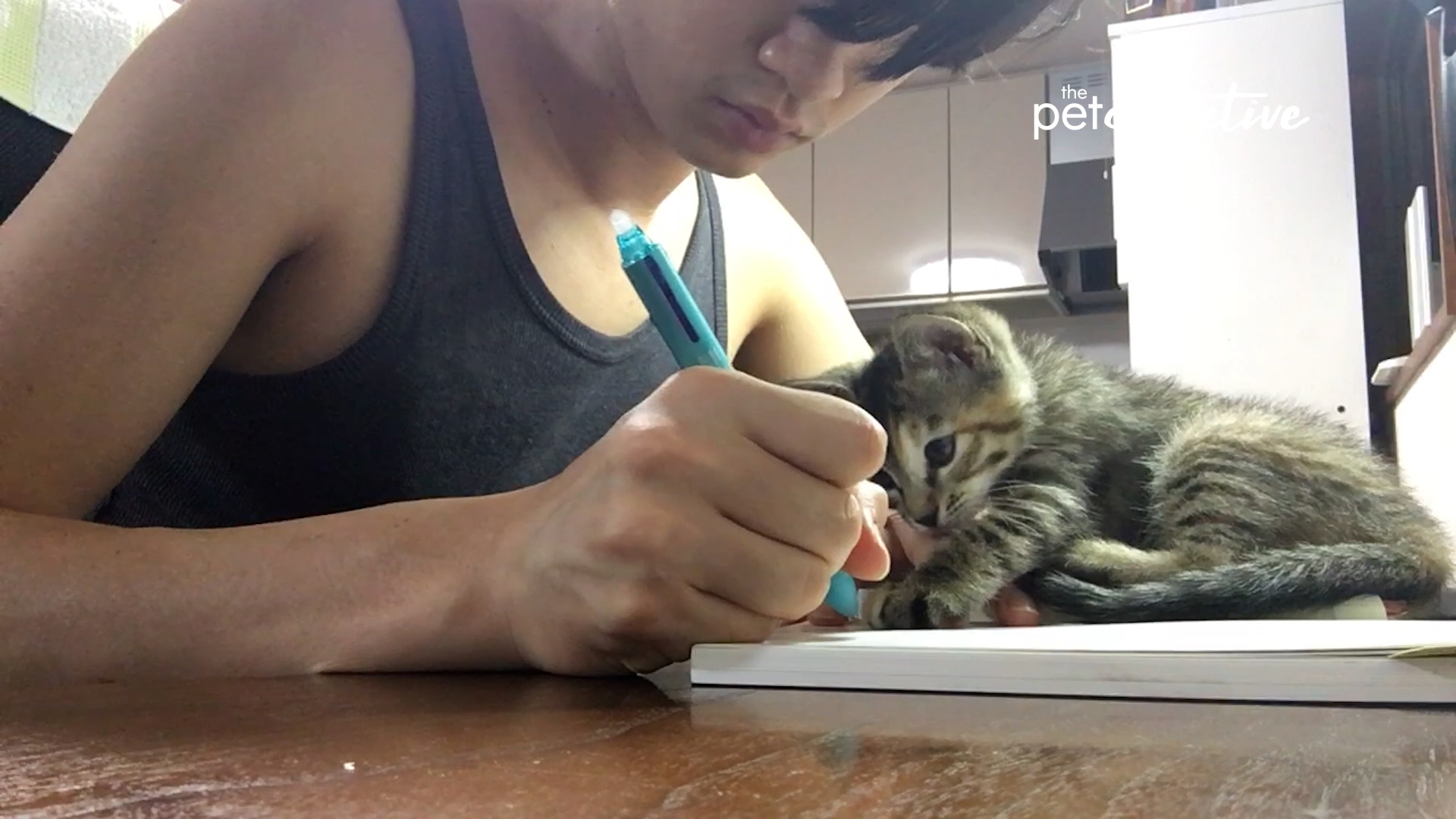 Best Pets of the Month