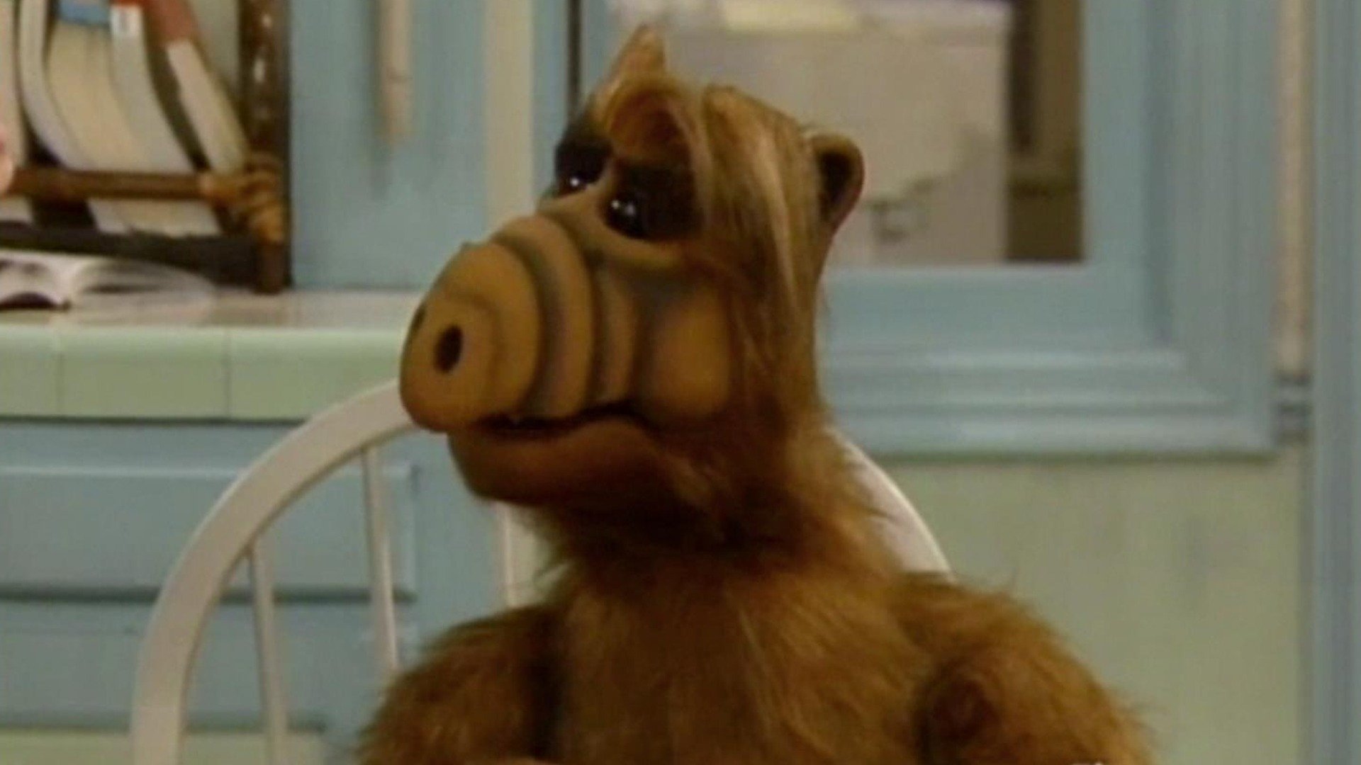 ALF