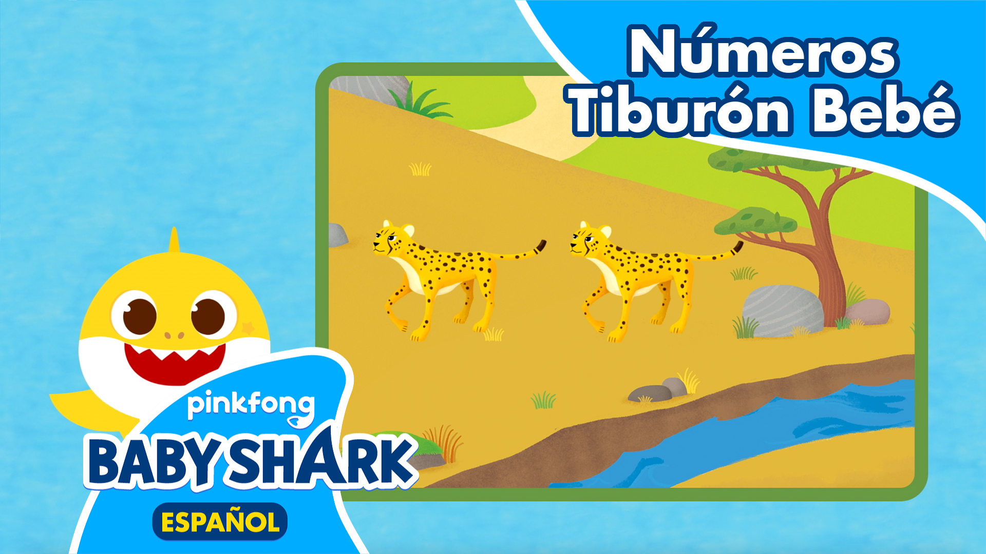 Animales con Números