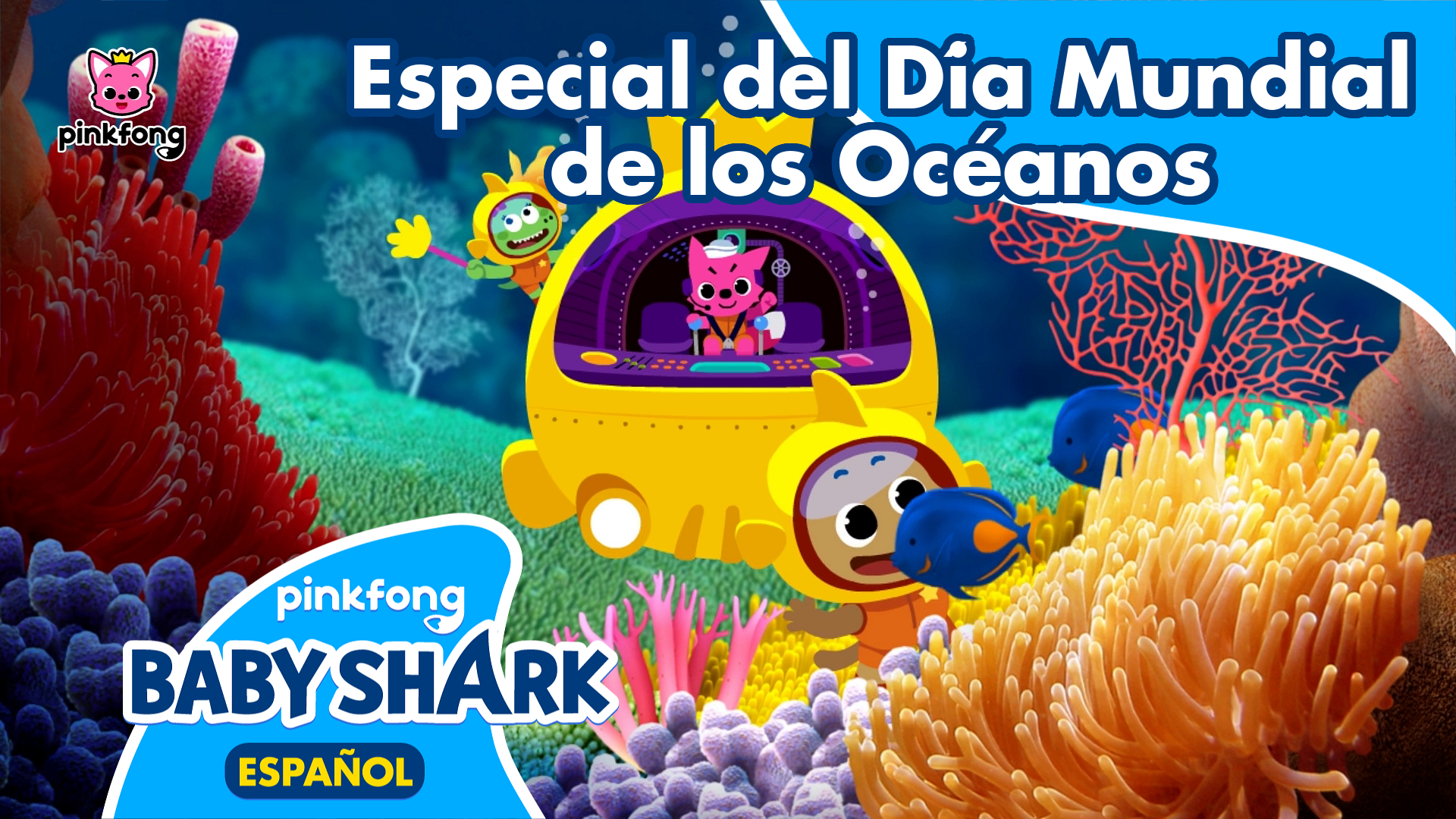 Especial del Día Mundial de los Océanos