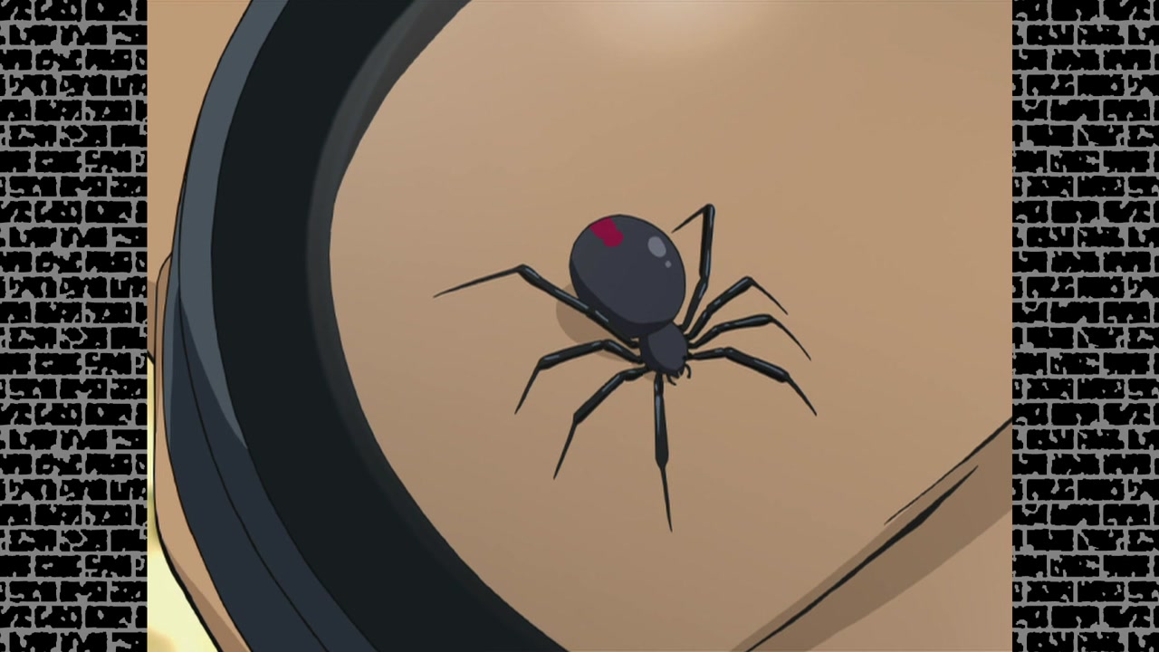 맹독 거미의 함정