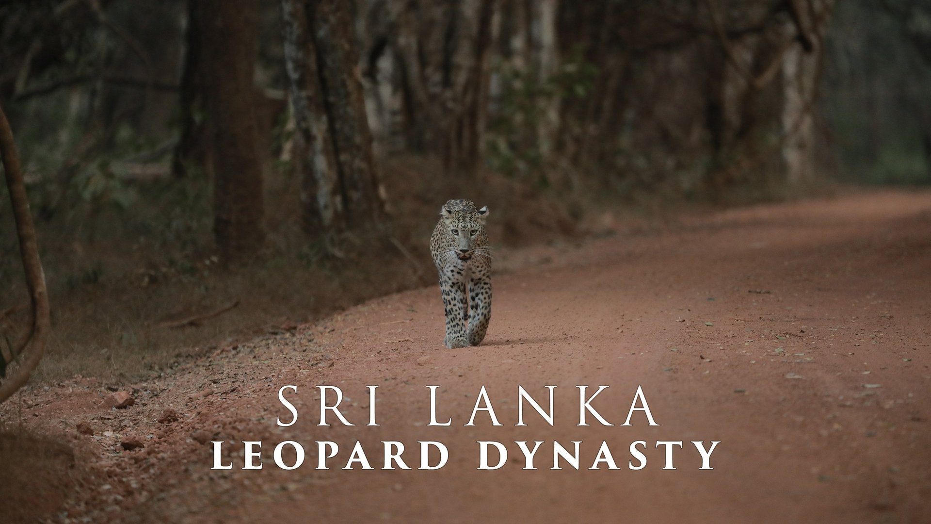 Sri Lanka