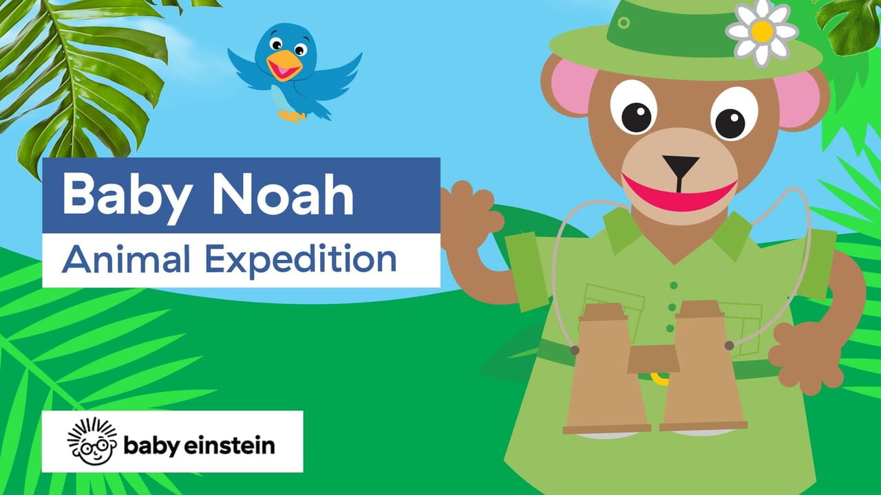 Baby Einstein