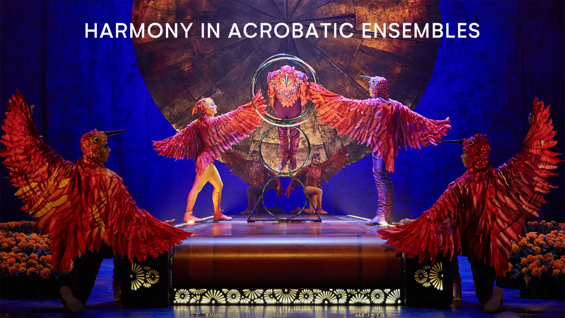 Harmony in Acrobatic Ensembles
