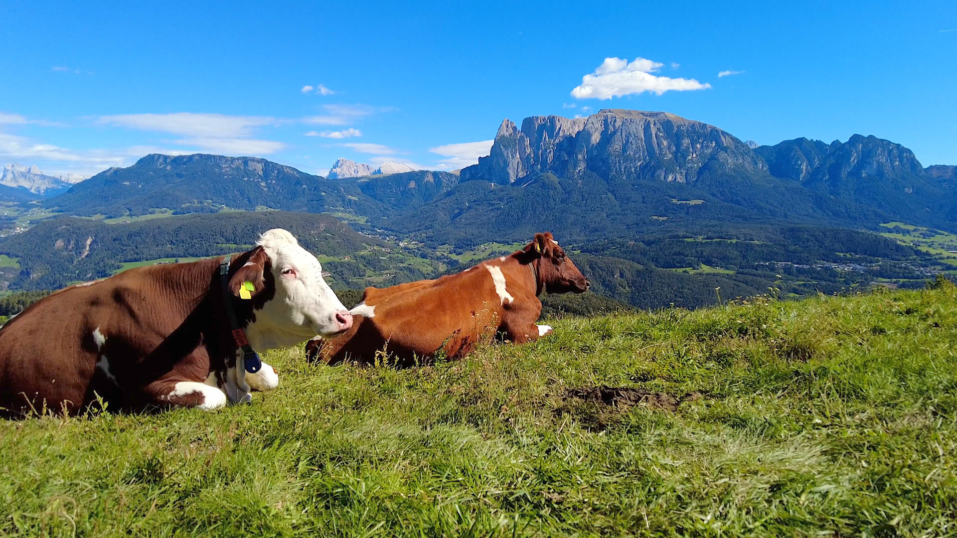 Bike Mike: Südtirol