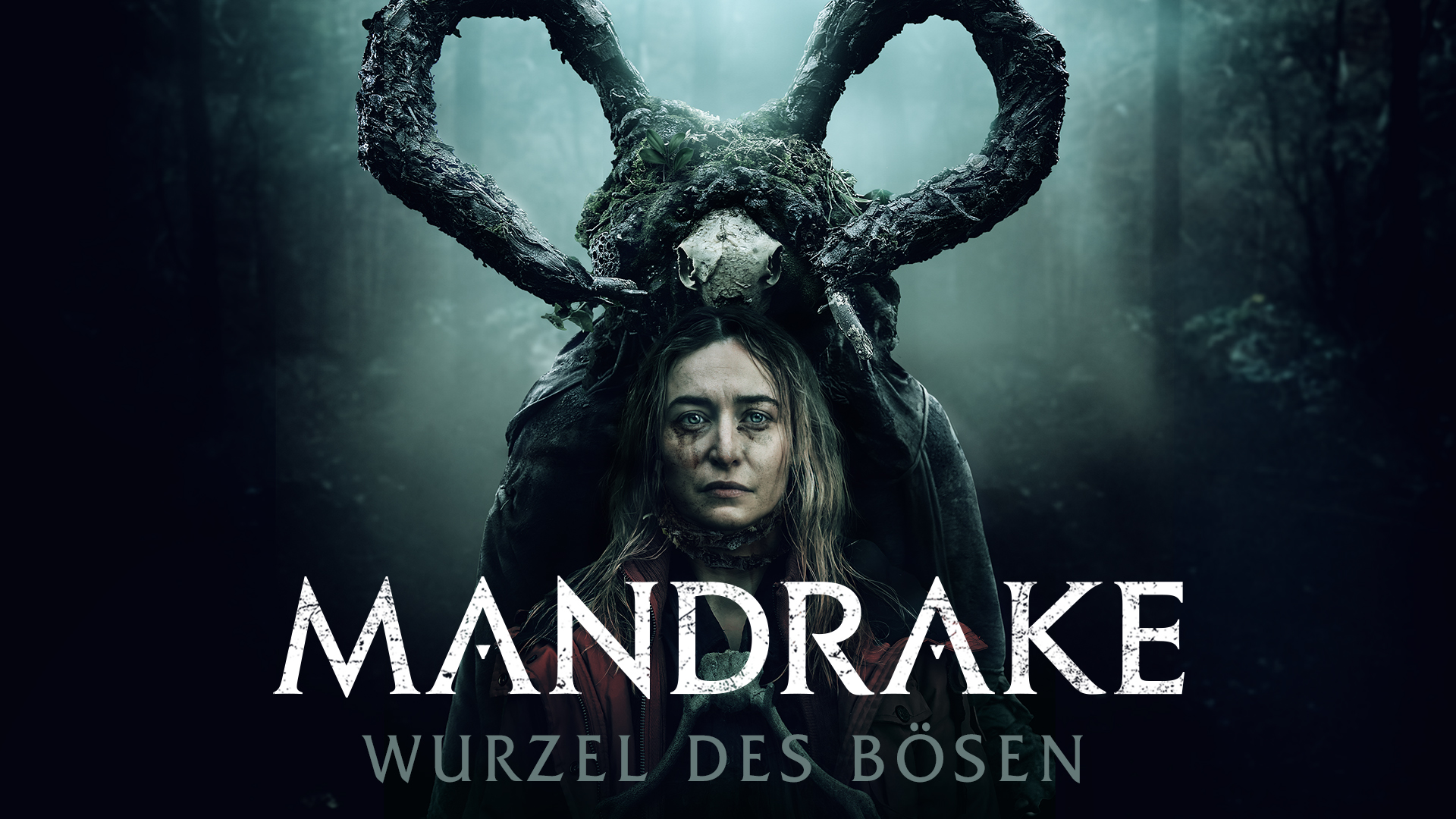Mandrake