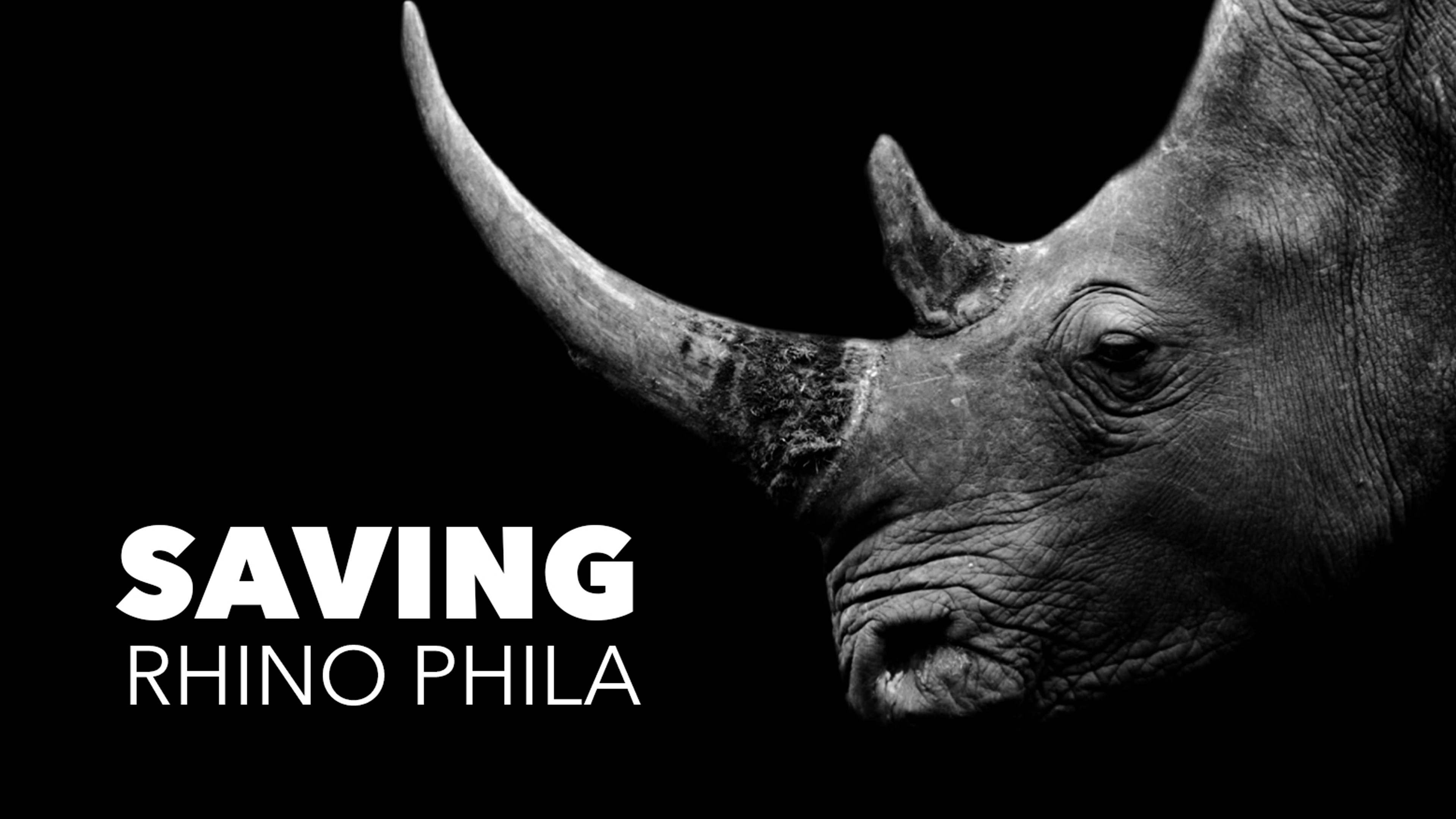 Saving Rhino Phila
