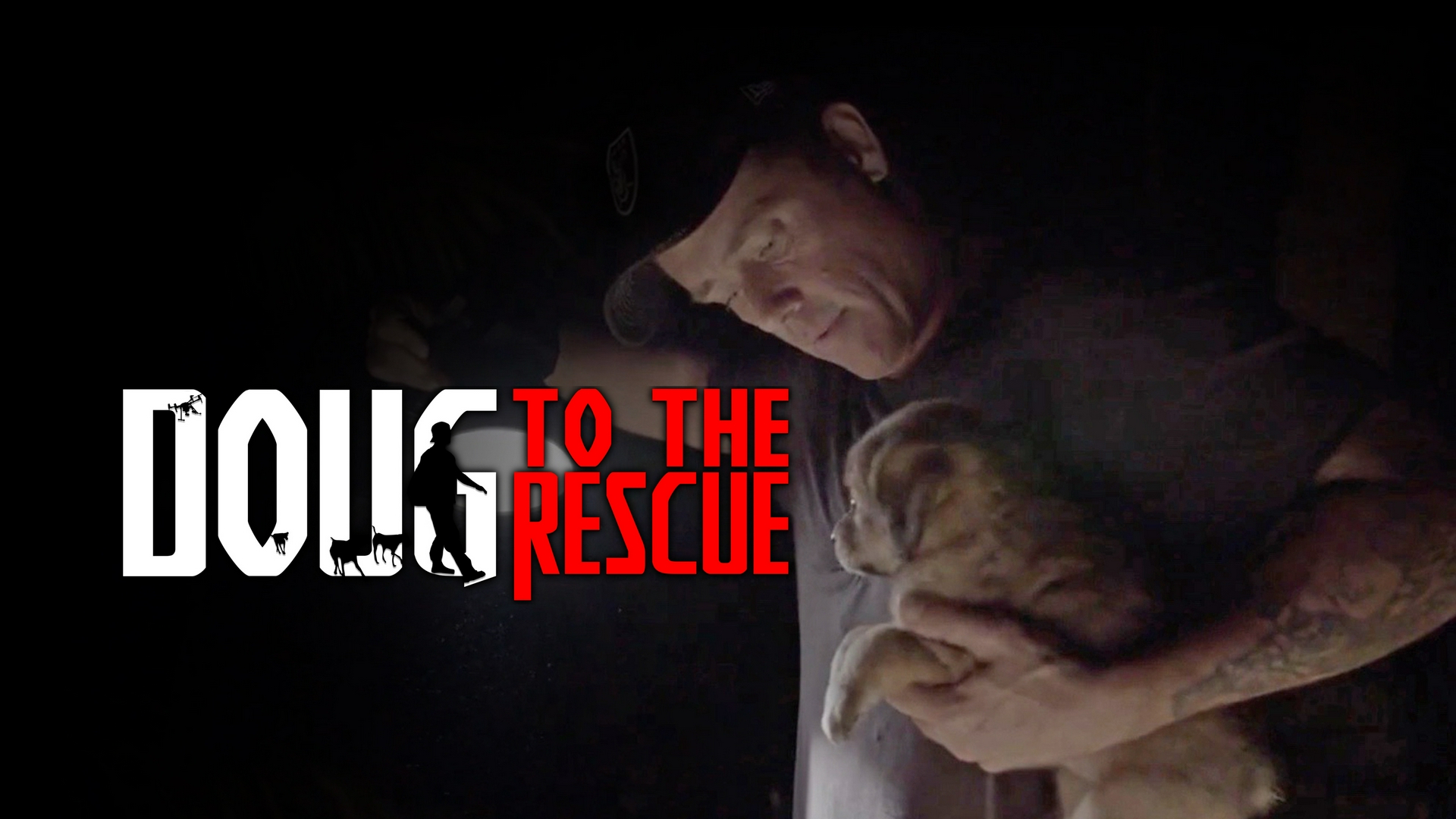 Los cachorros rescatistas de Puerto Rico