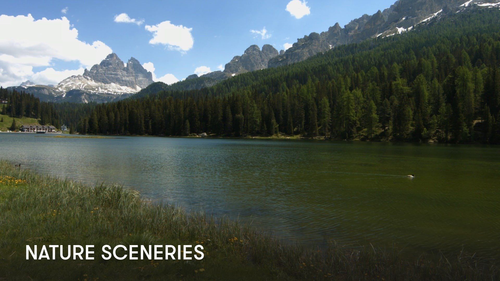 Relaxing Nature Sceneries