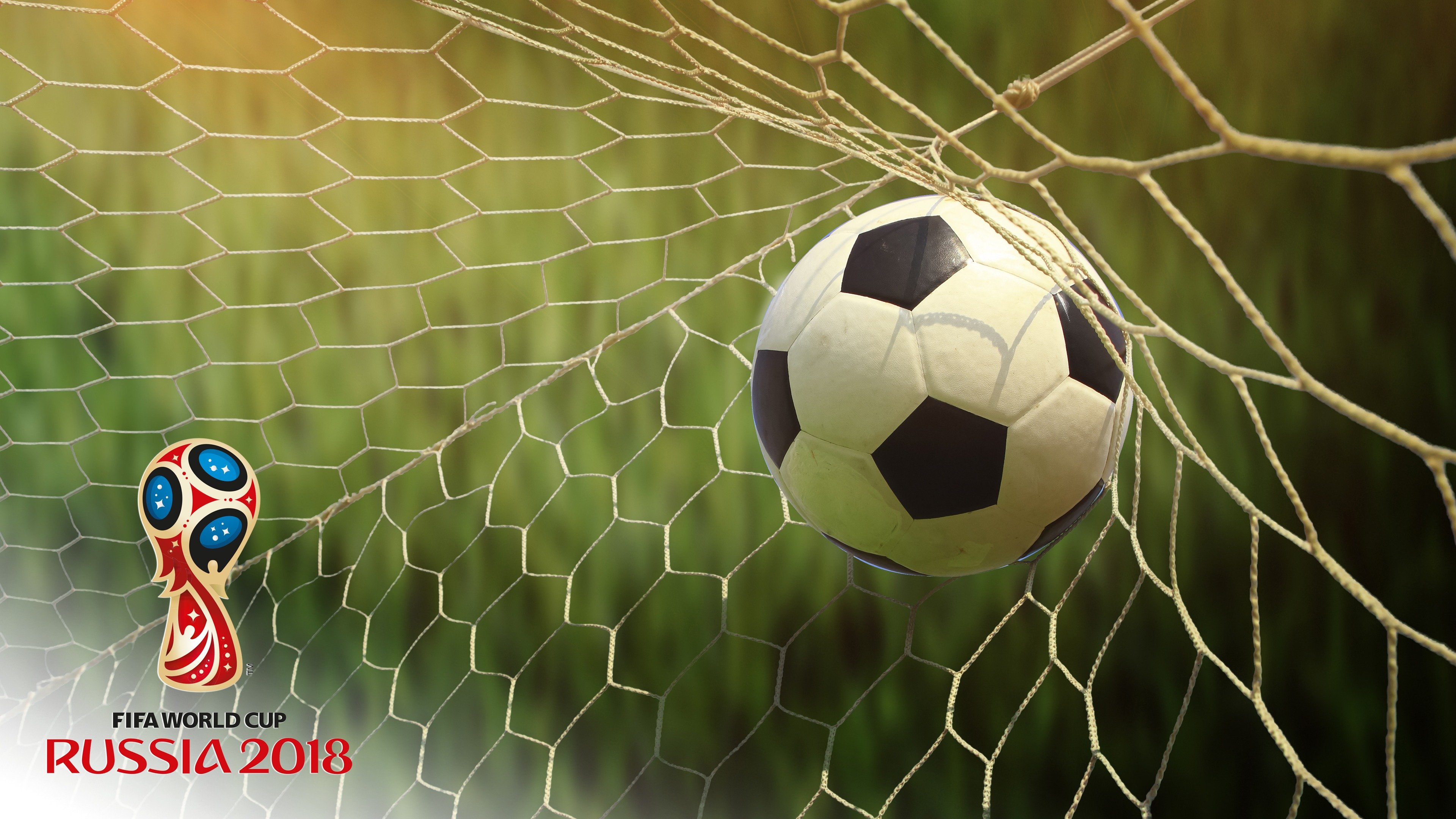 2018 FIFA World Cup