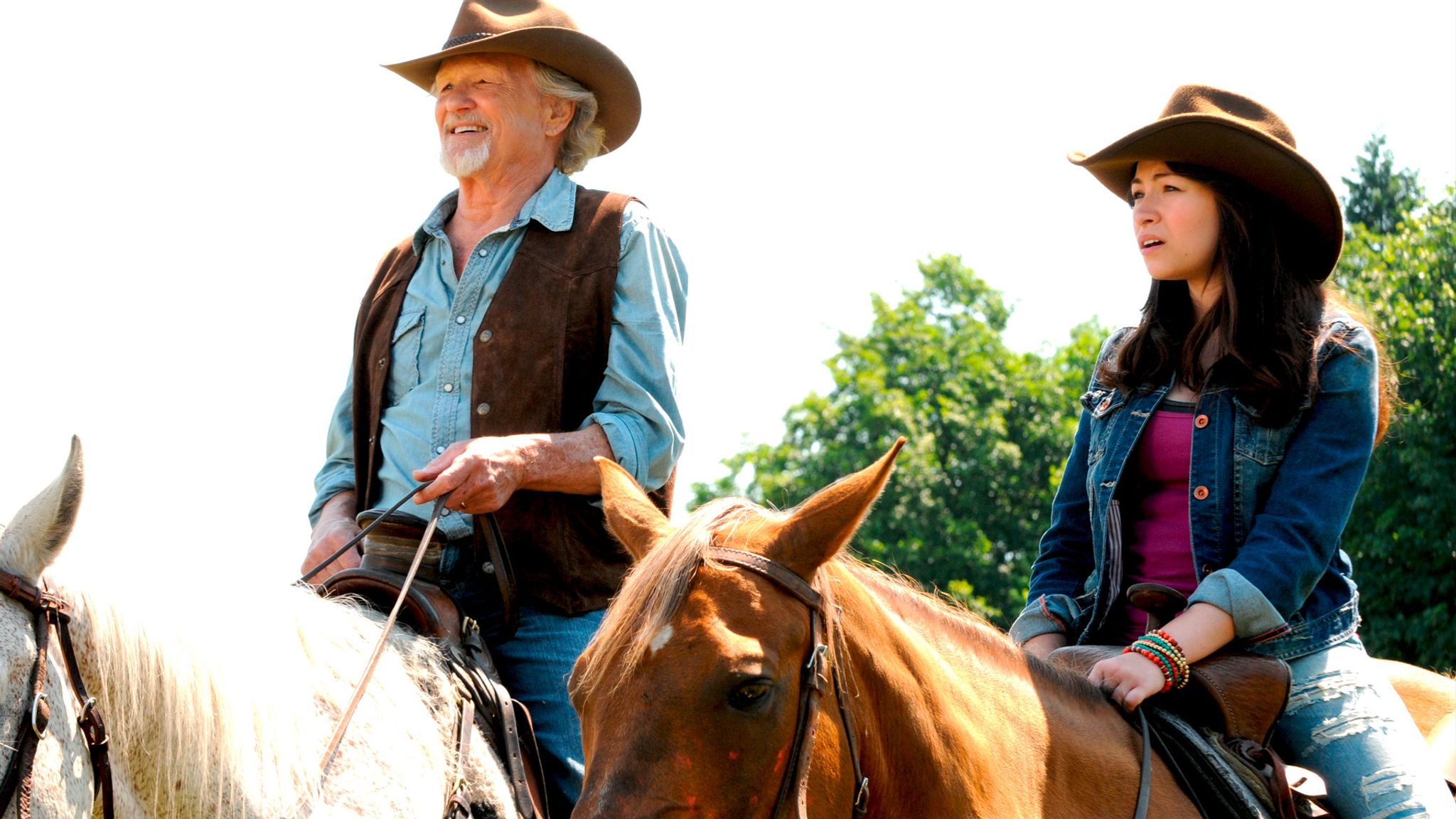 Midnight Stallion: Der König der Pferde