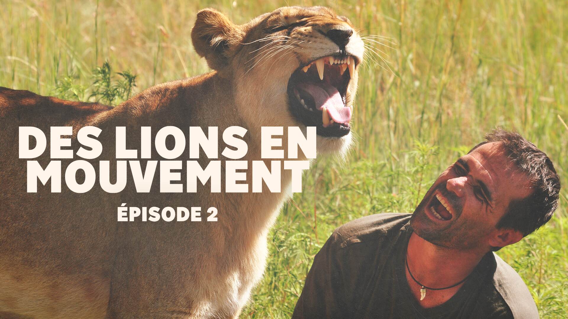 Des Lions En Mouvement EP 2