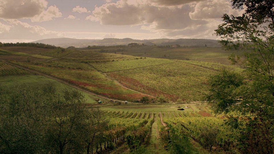 Michelas Toskanische Küche