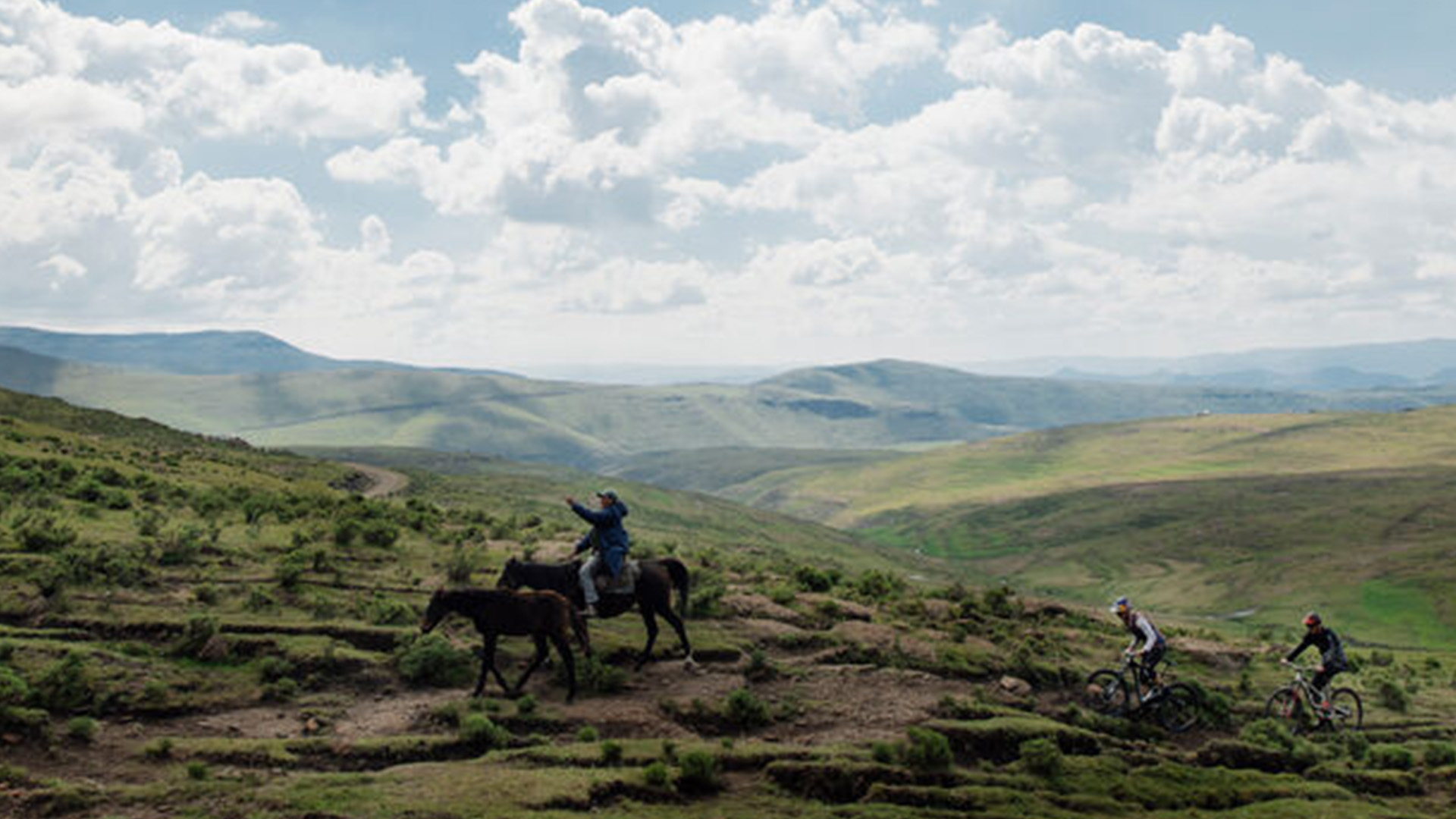 Rob Warner's Wild Rides