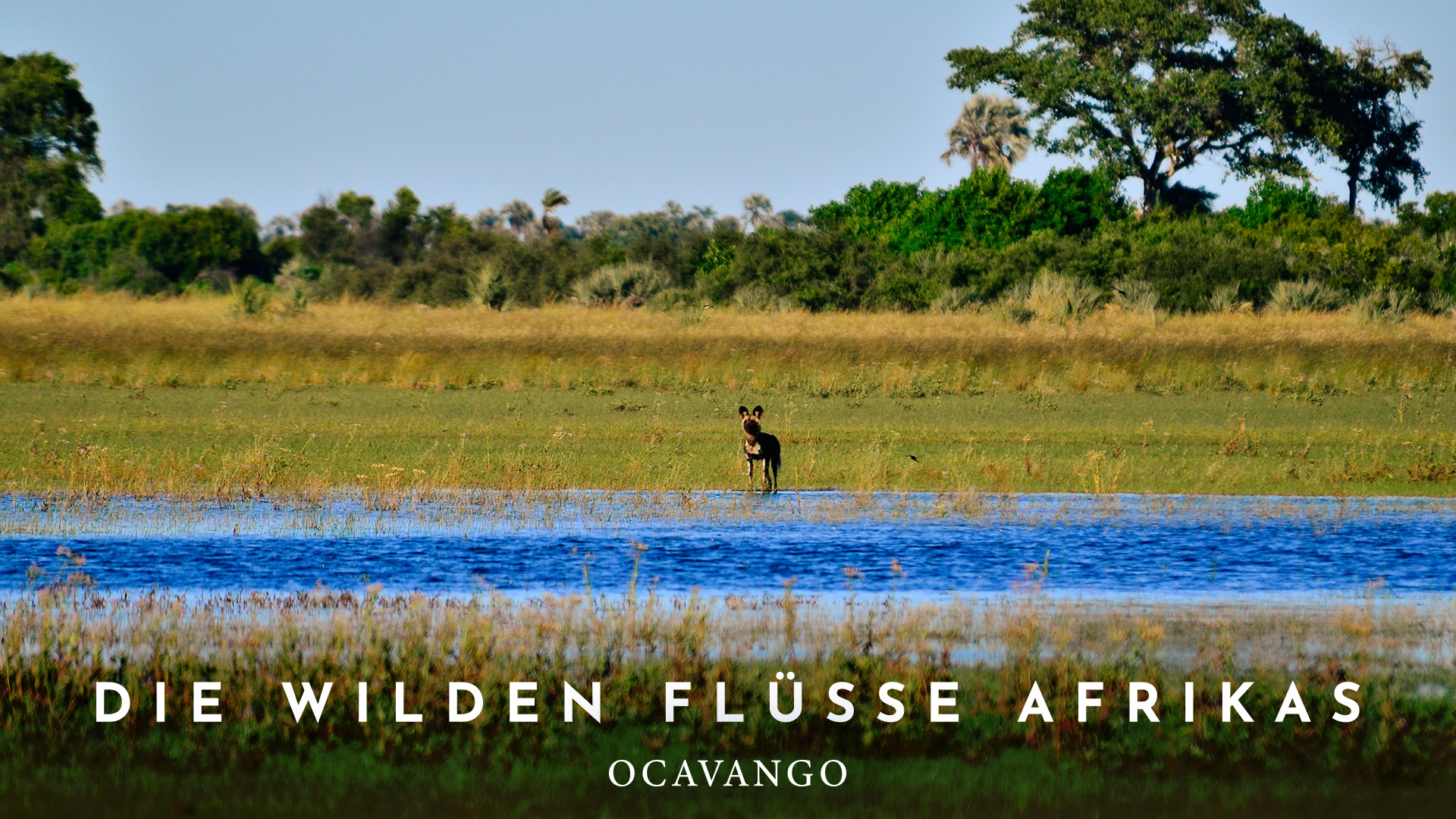 Die wilden Flüsse Afrikas