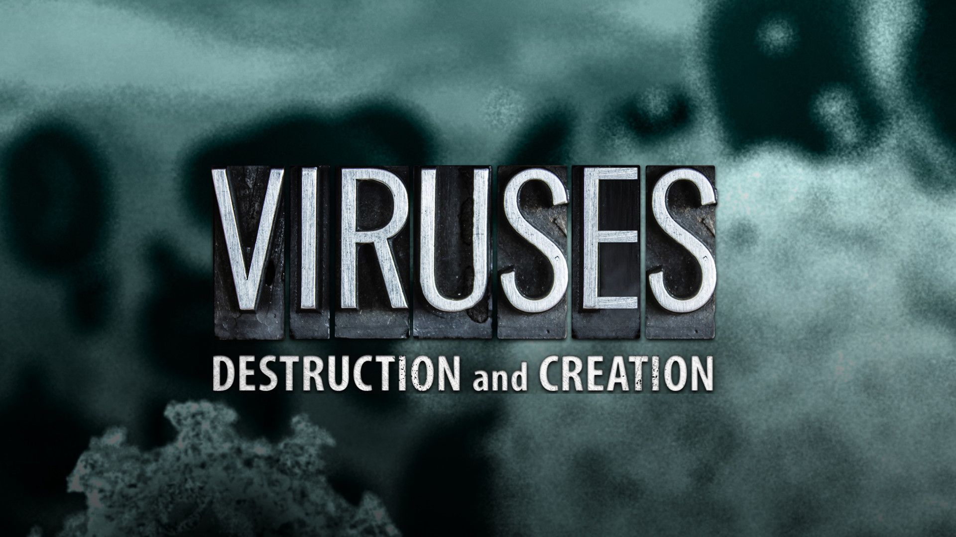 Virus: desctrucción y creación
