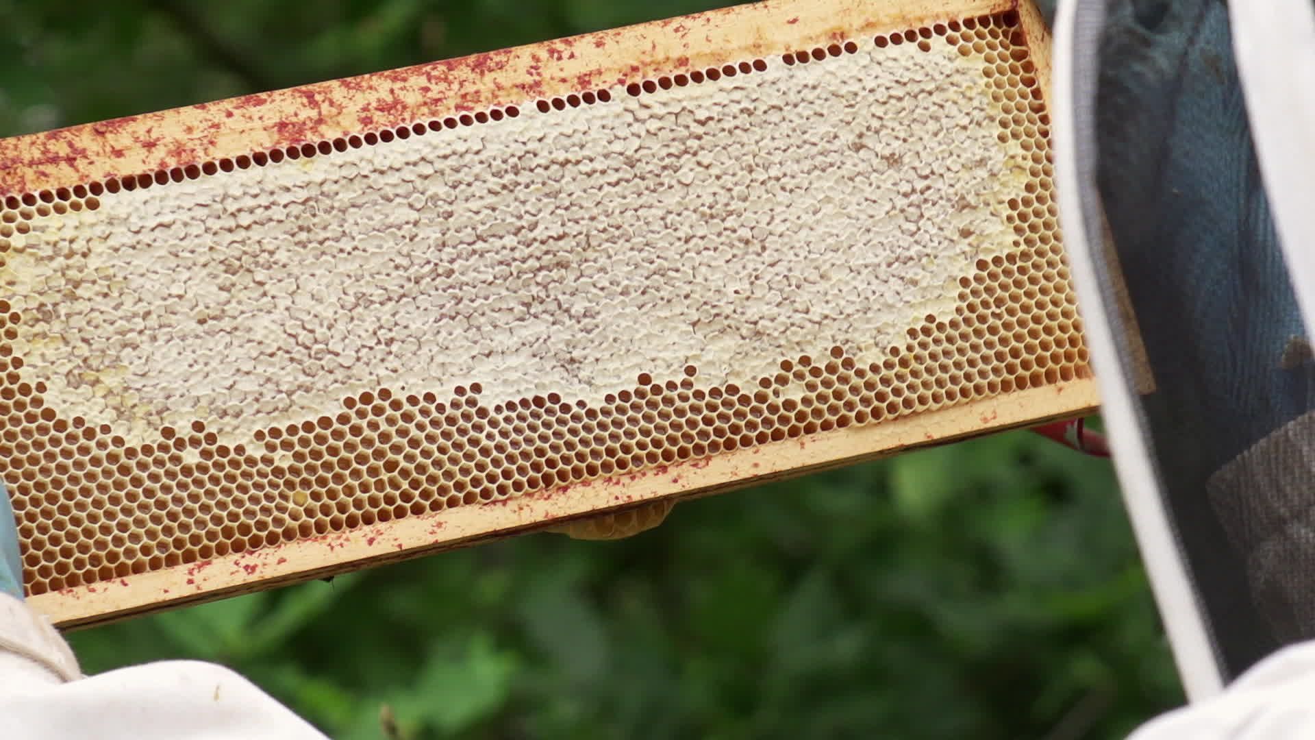 Itinéraires Paysans