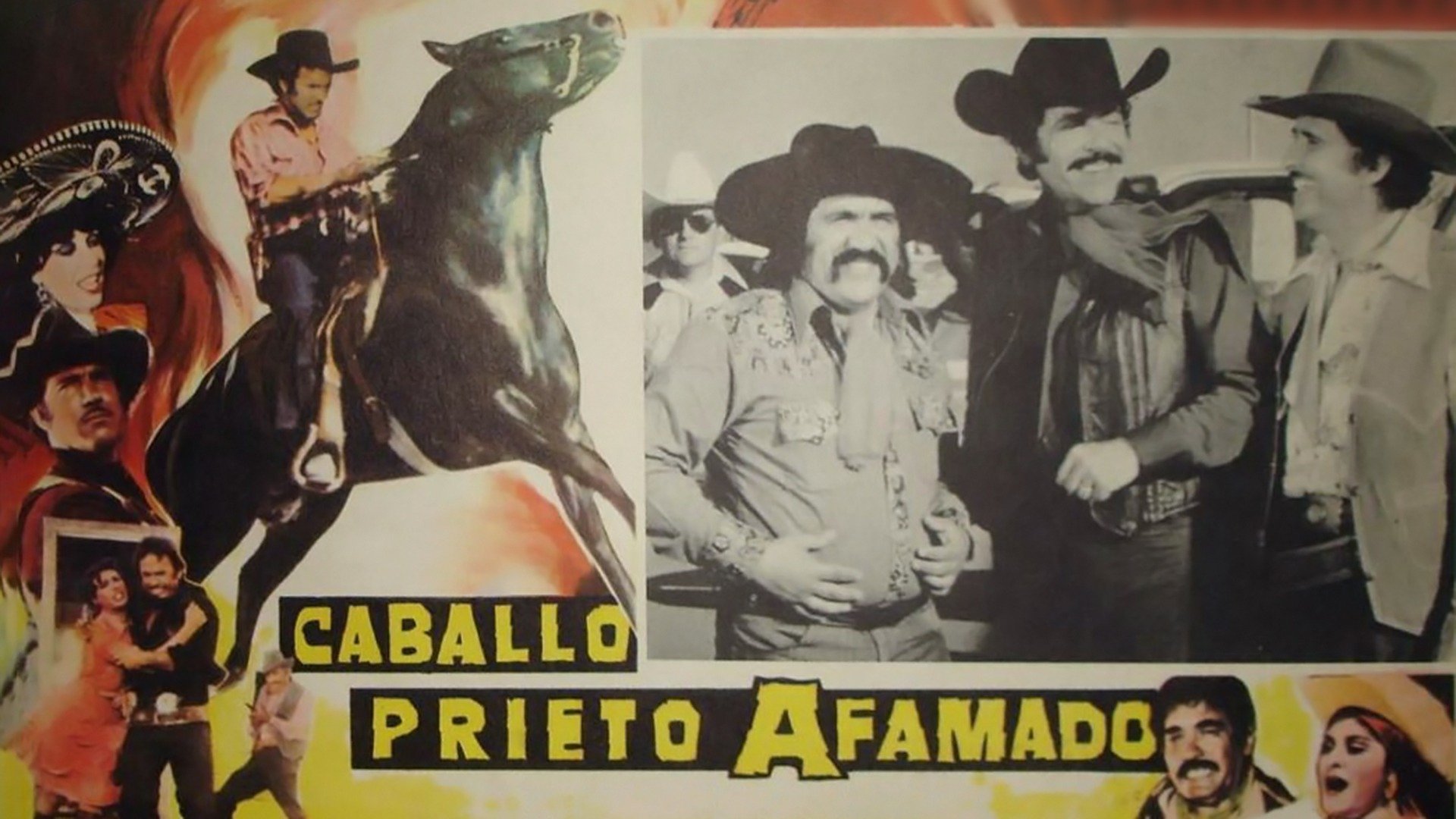 Caballo prieto afamado