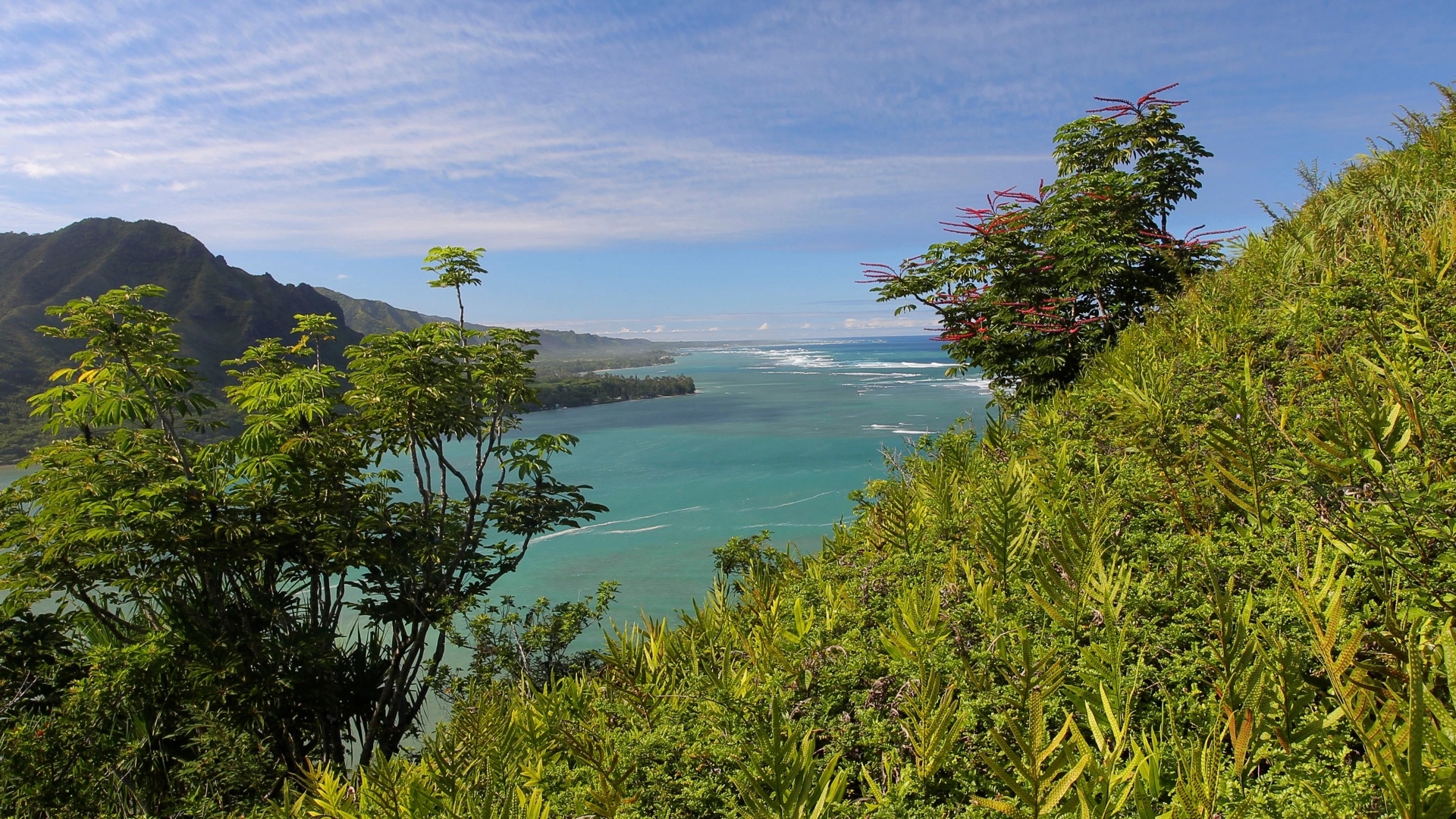 Healing Hawaii II: Oahu