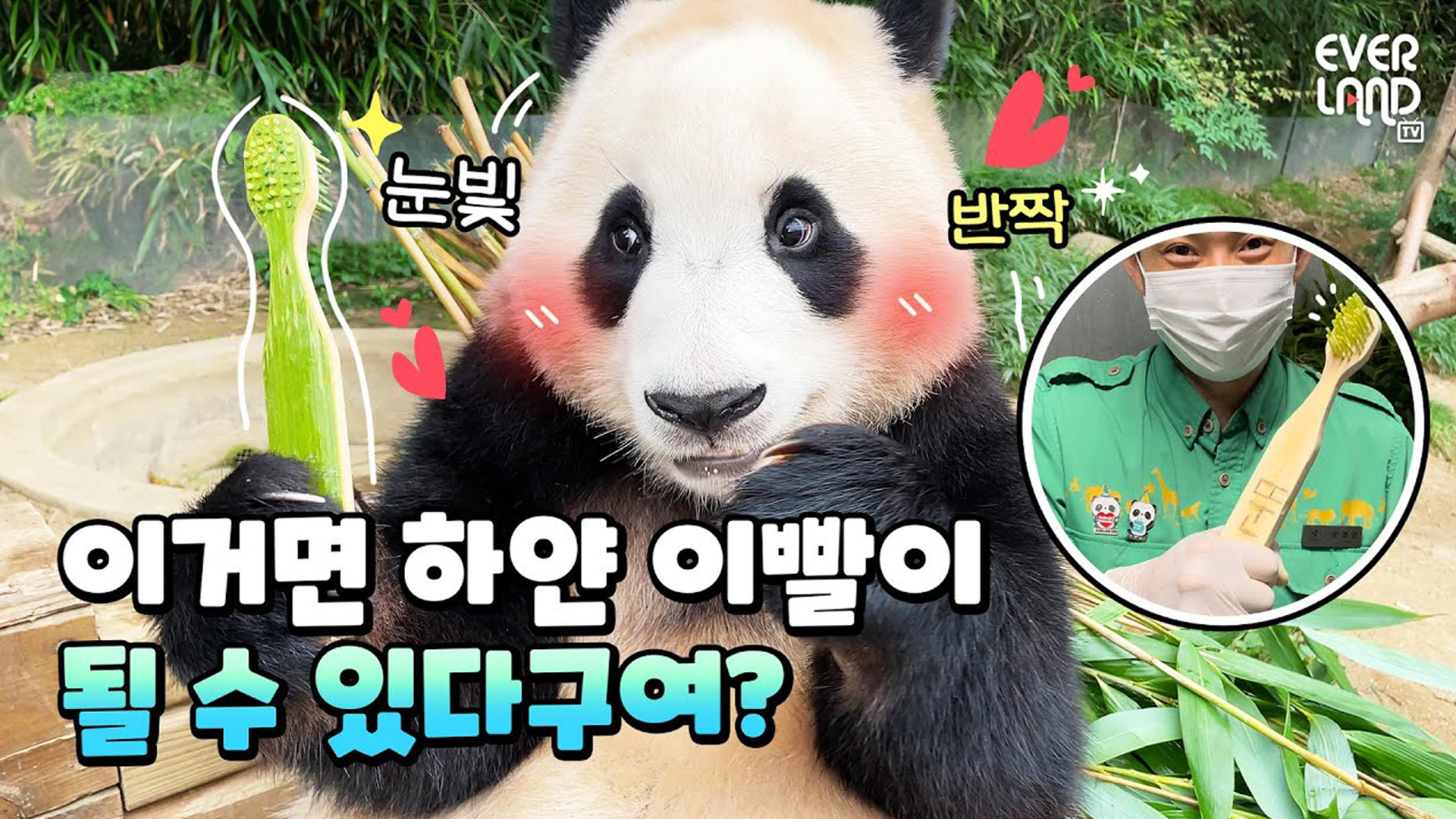 치카치카 포카포카 오로로로 퉤~ 55회