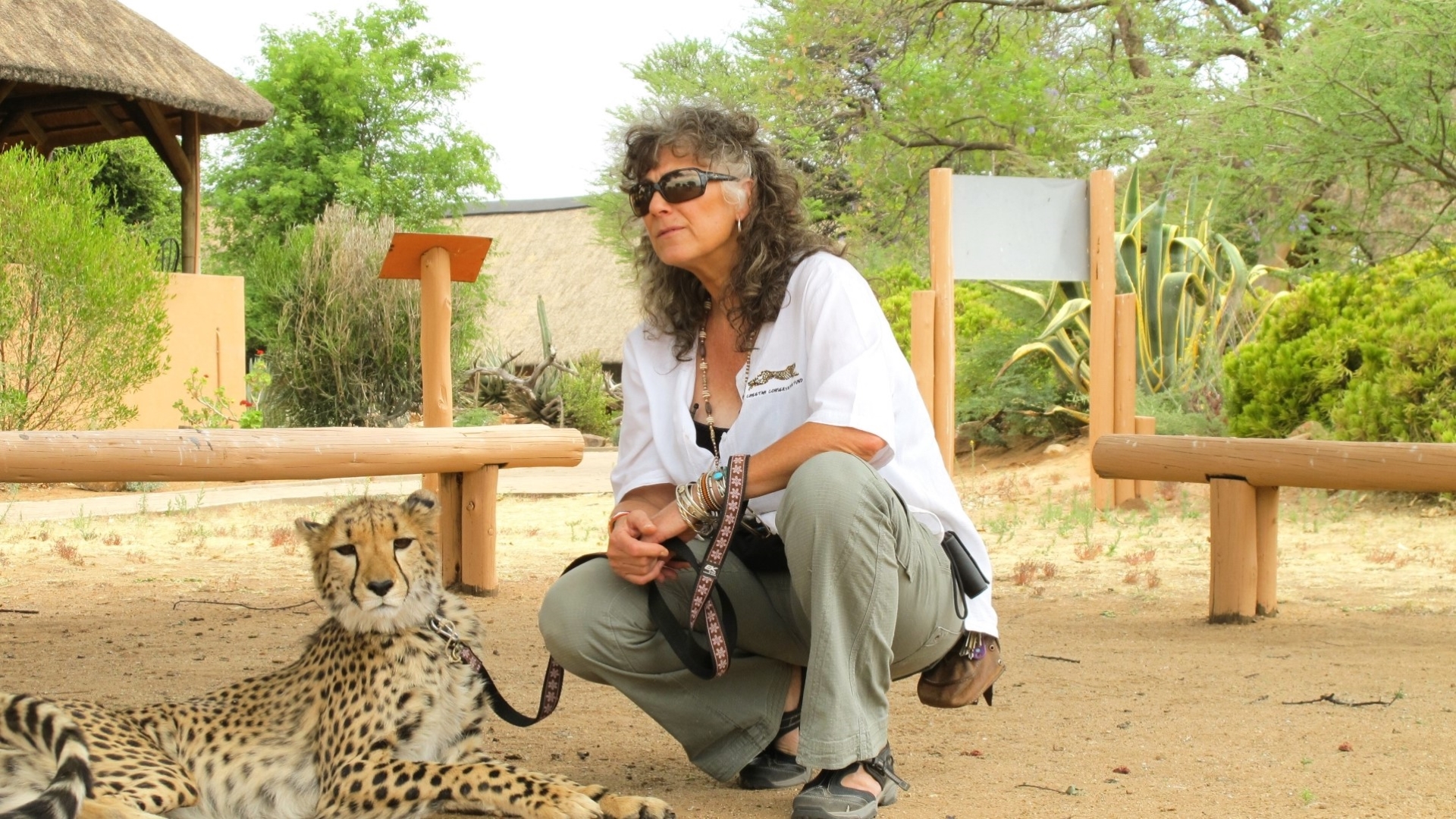 Des Femmes et des Bêtes