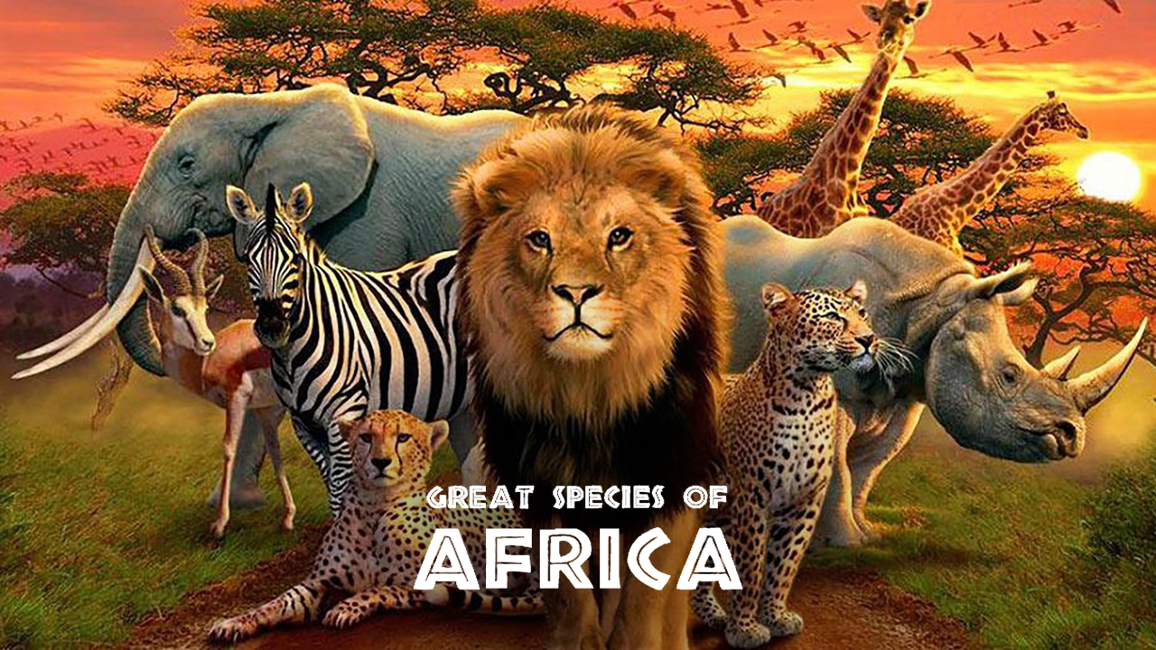 Great Species of Africa
