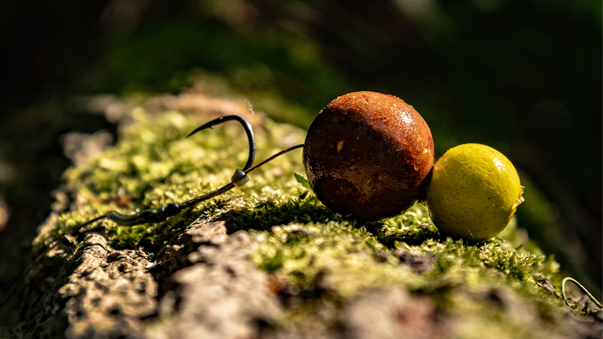 Karpfenangeln am Fluss