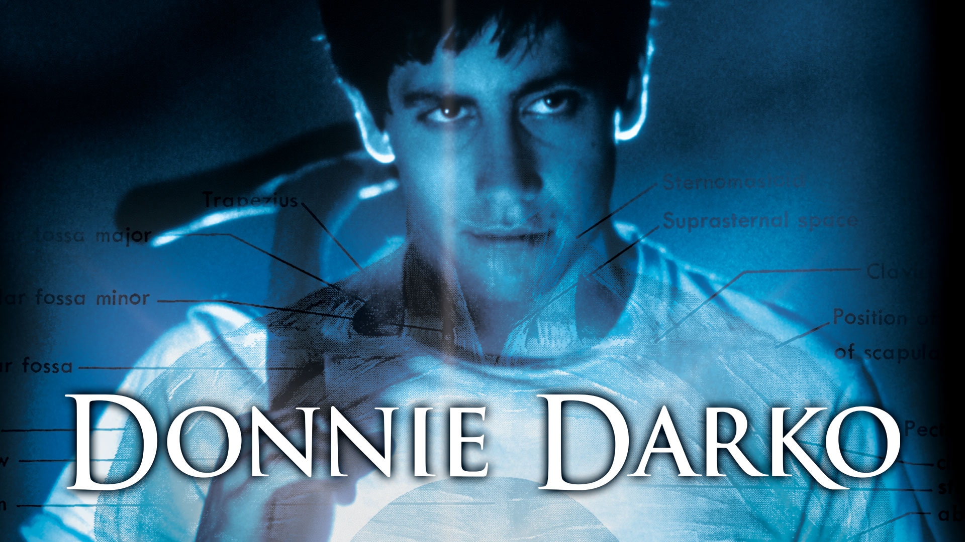 Donnie Darko