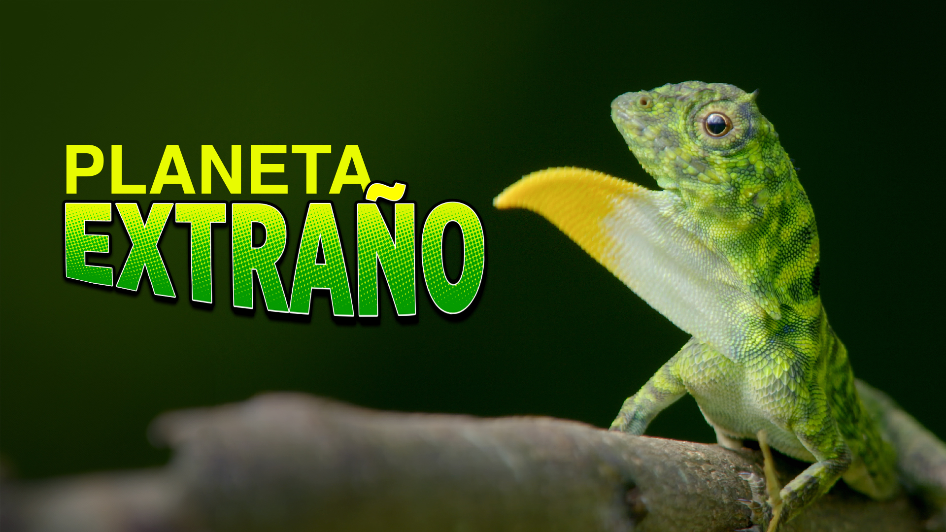 Planeta Extraño