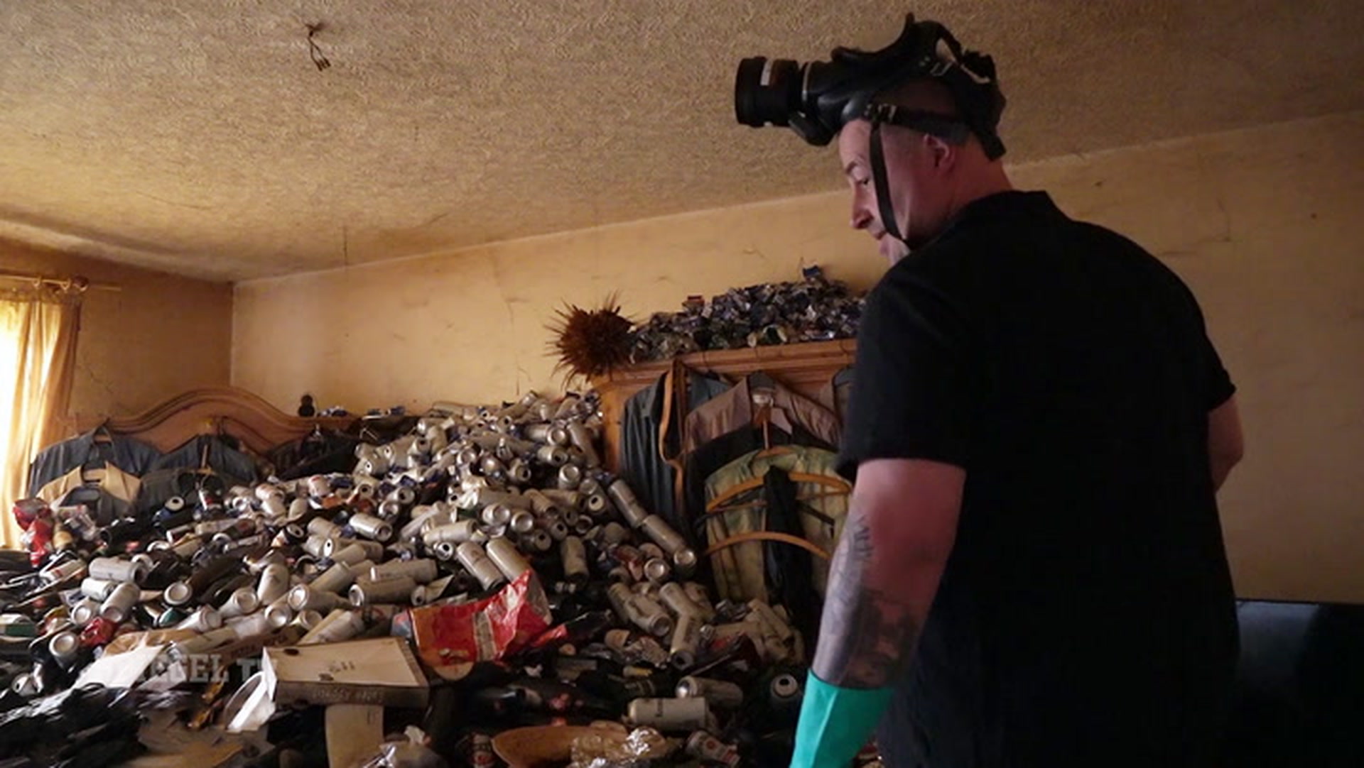 Der Kammerjäger (1): Zwischen Kot, Kadavern und Käfern