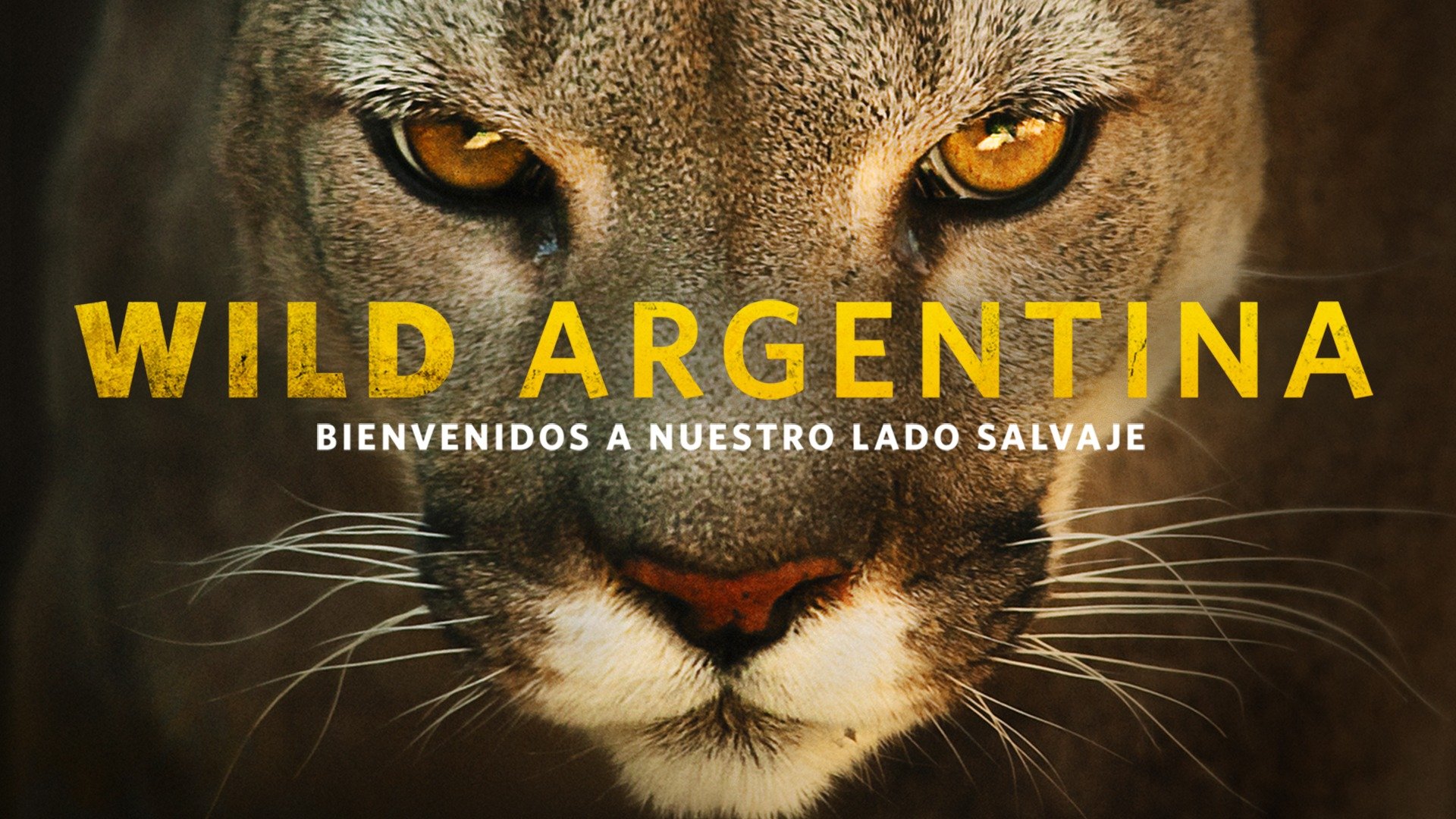 Wild Argentina: Extreme Earth