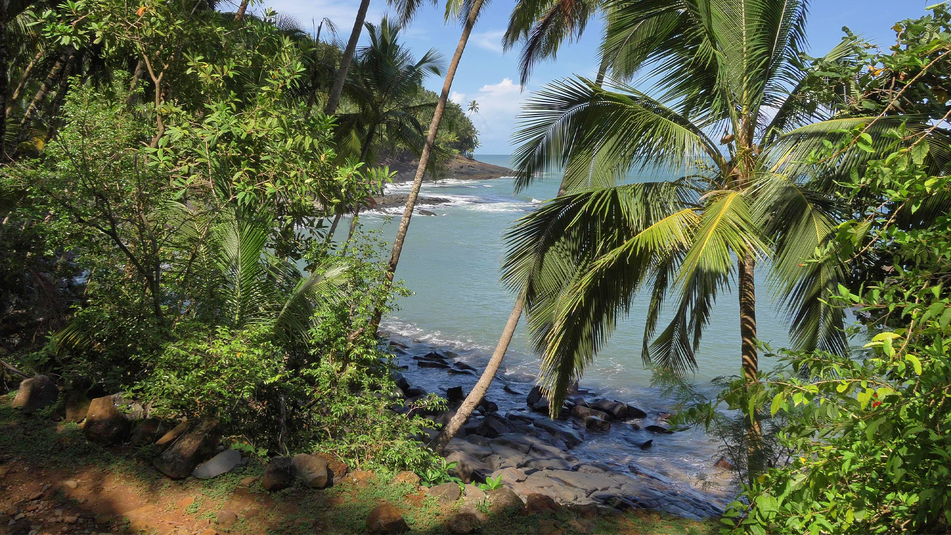 Kourou: Palmen, Raketen, Gefängnisinseln